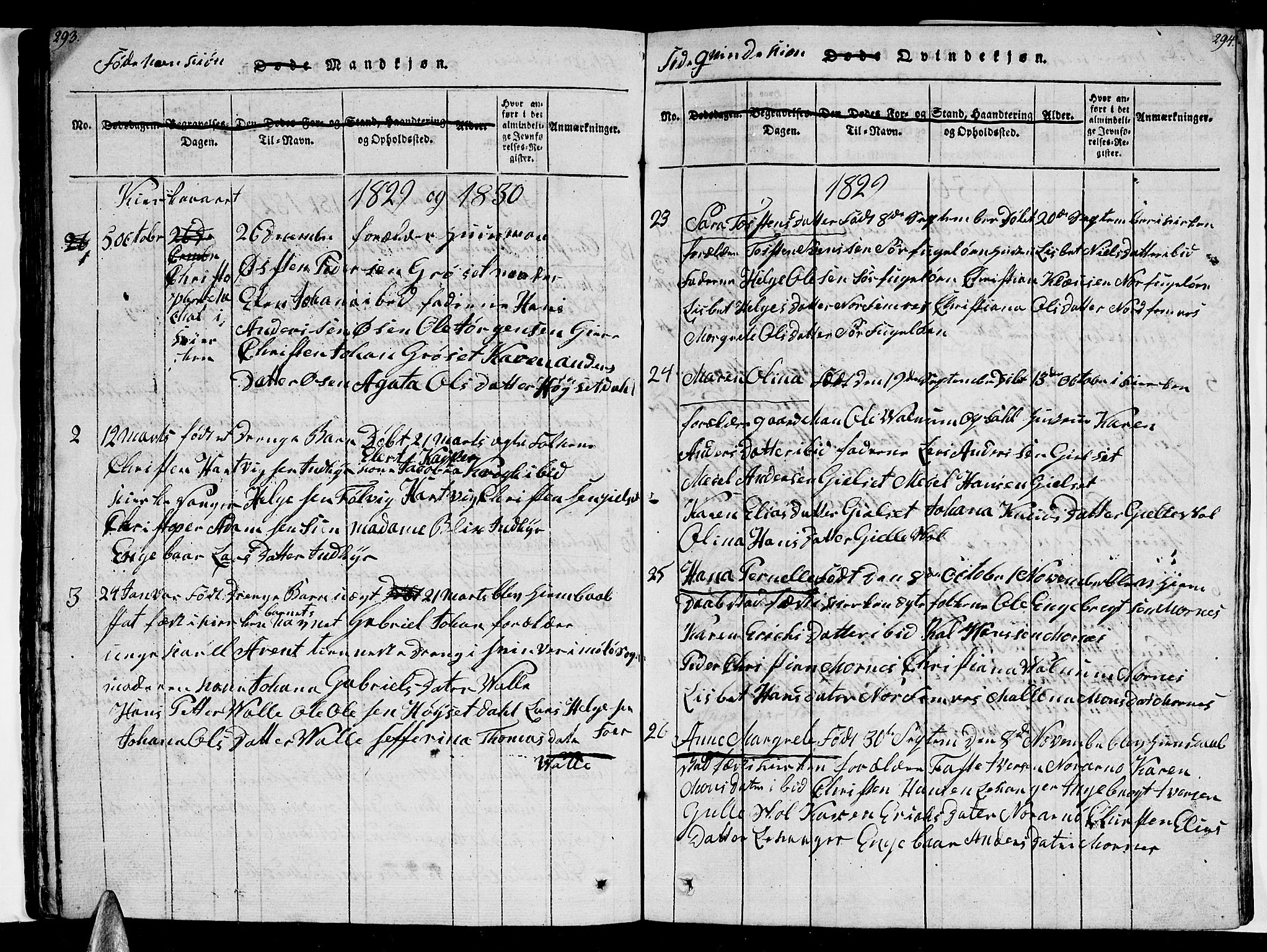 Ministerialprotokoller, klokkerbøker og fødselsregistre - Nordland, AV/SAT-A-1459/805/L0105: Parish register (copy) no. 805C01, 1820-1839, p. 293-294