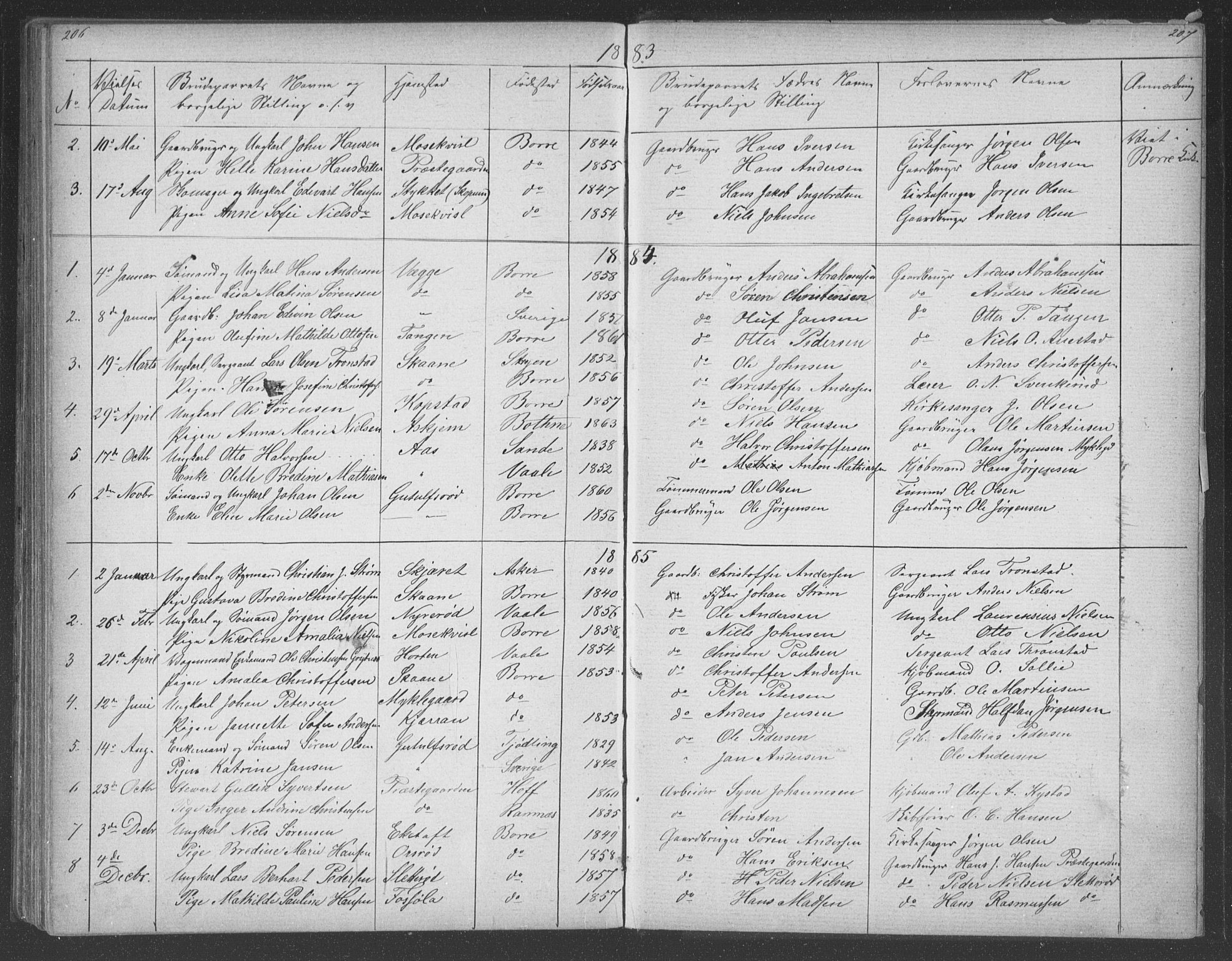 Borre kirkebøker, SAKO/A-338/G/Gb/L0002: Parish register (copy) no. II 2, 1878-1892, p. 206-207