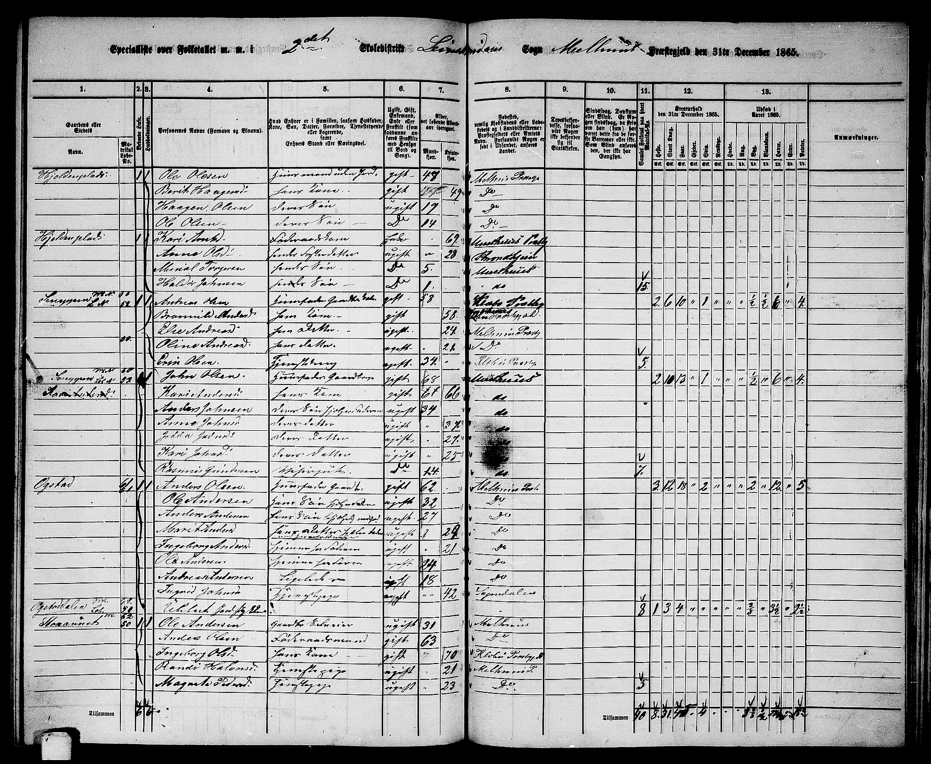 RA, 1865 census for Melhus, 1865, p. 225