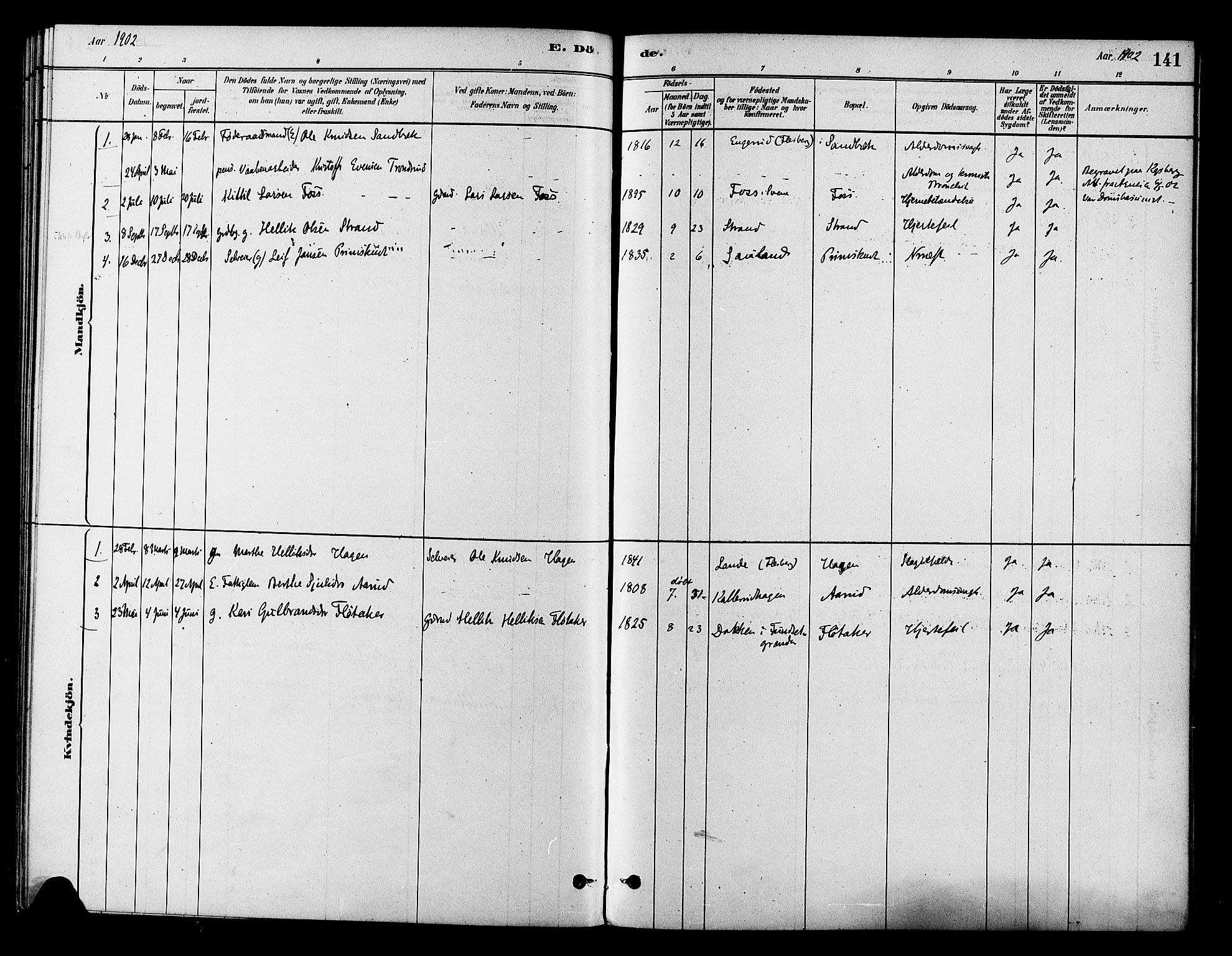 Flesberg kirkebøker, AV/SAKO-A-18/F/Fb/L0001: Parish register (official) no. II 1, 1879-1907, p. 141