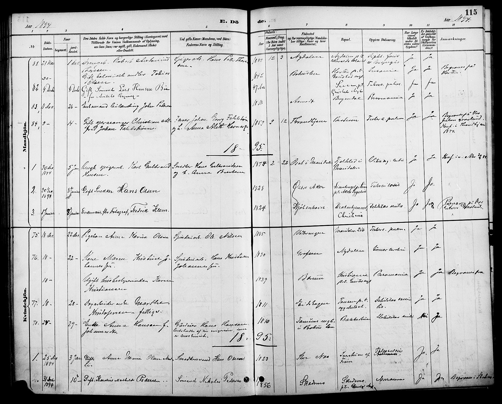 Vestre Aker prestekontor Kirkebøker, AV/SAO-A-10025/F/Fa/L0011: Parish register (official) no. 11, 1886-1904, p. 115