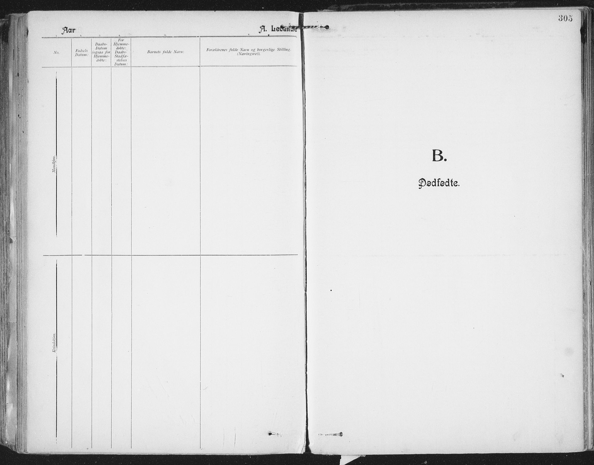 Ministerialprotokoller, klokkerbøker og fødselsregistre - Nordland, SAT/A-1459/801/L0011: Parish register (official) no. 801A11, 1900-1916, p. 305
