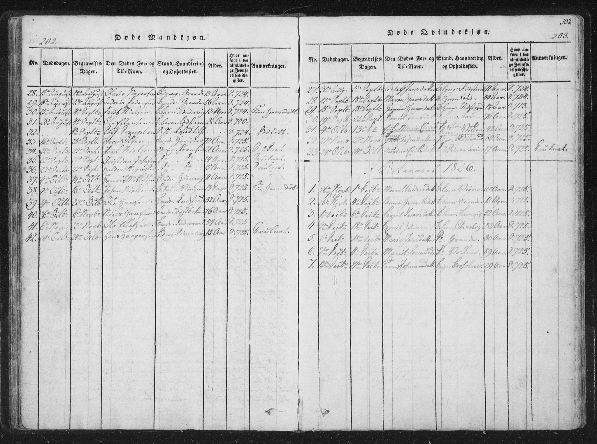 Ministerialprotokoller, klokkerbøker og fødselsregistre - Sør-Trøndelag, SAT/A-1456/659/L0734: Parish register (official) no. 659A04, 1818-1825, p. 202-203