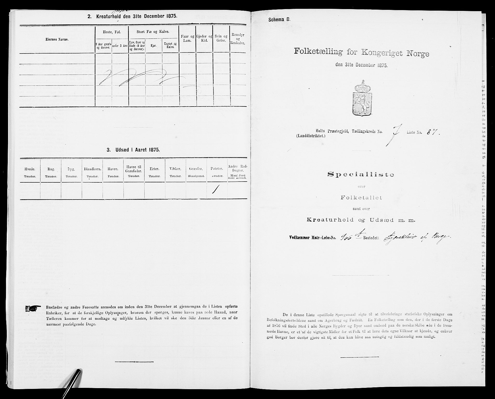 SAK, 1875 census for 0914L Holt/Holt, 1875, p. 955