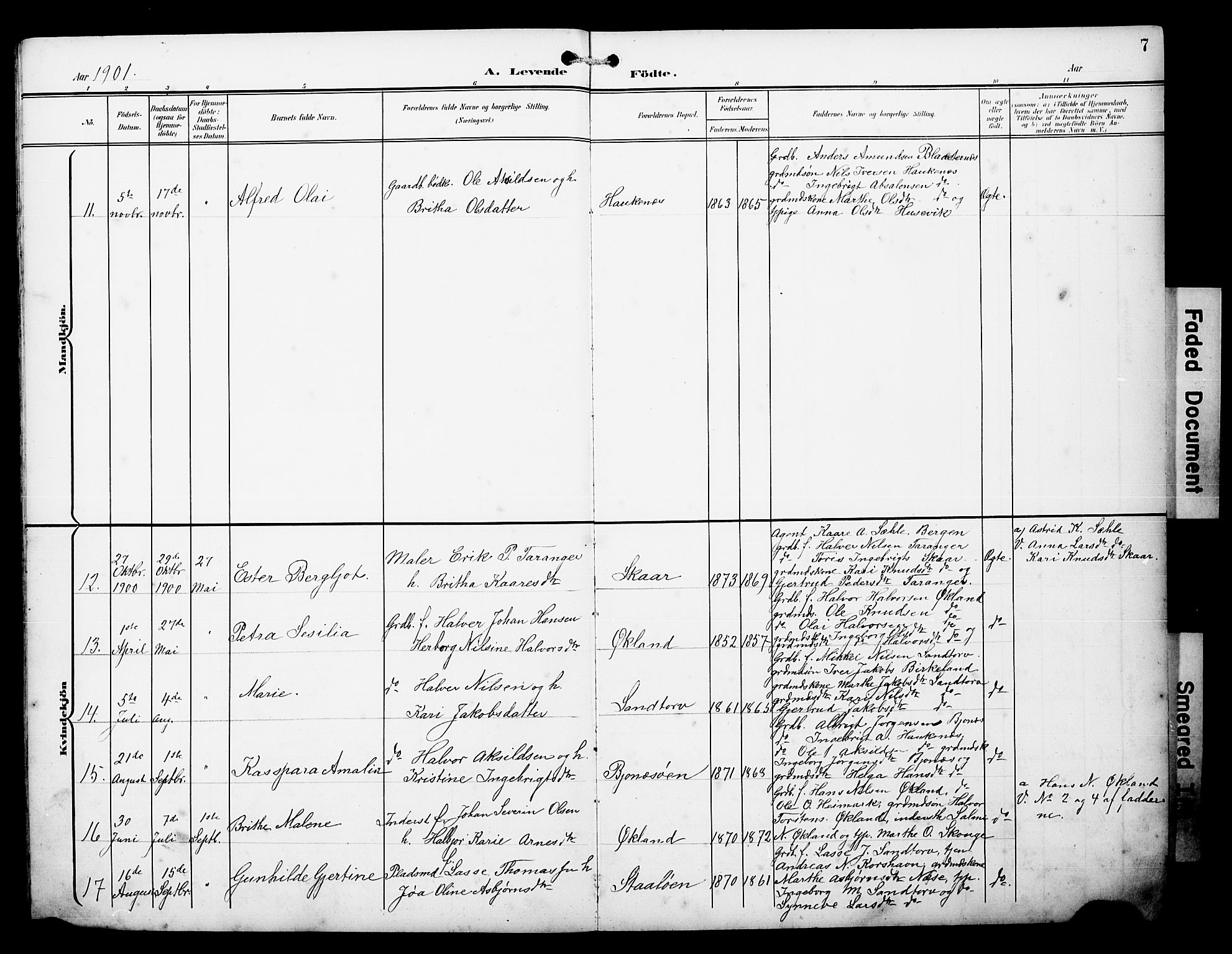 Austevoll sokneprestembete, AV/SAB-A-74201/H/Ha/Hab/Haba/L0004: Parish register (copy) no. A 4, 1901-1912, p. 7