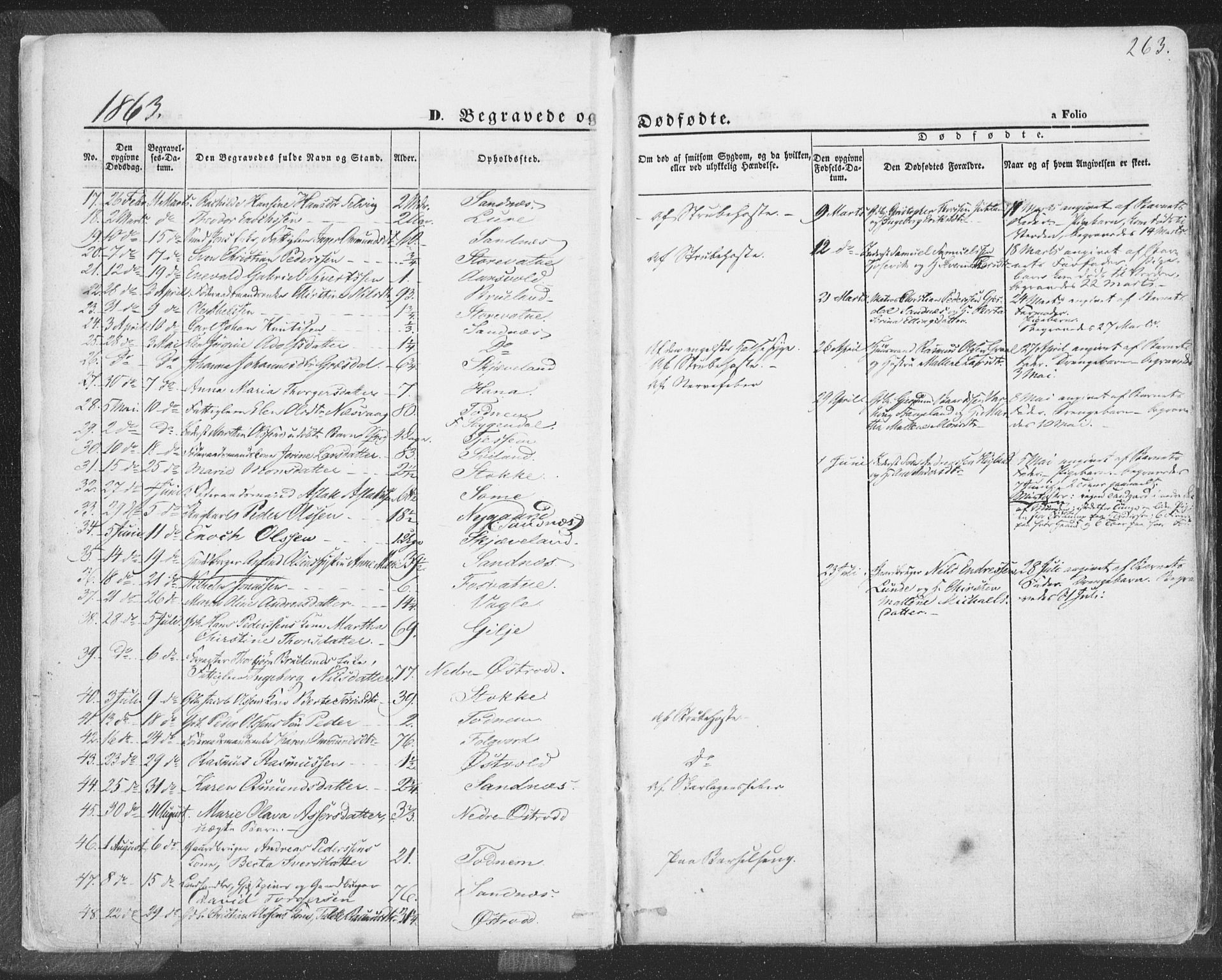 Høyland sokneprestkontor, SAST/A-101799/001/30BA/L0009: Parish register (official) no. A 9.2, 1857-1877, p. 263