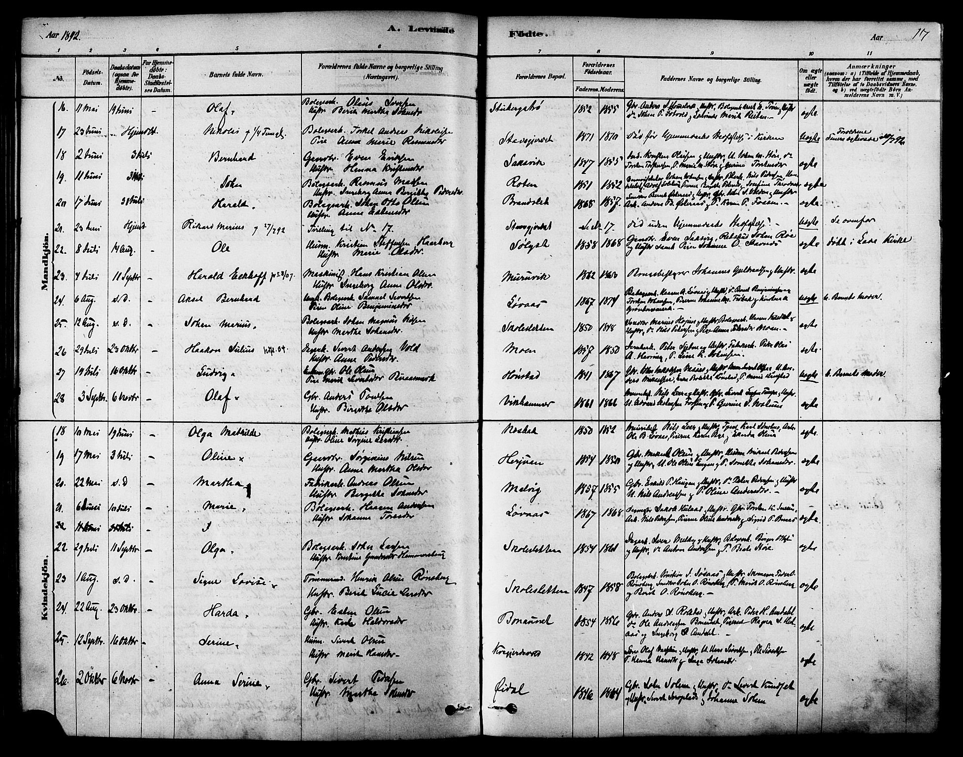 Ministerialprotokoller, klokkerbøker og fødselsregistre - Sør-Trøndelag, AV/SAT-A-1456/616/L0410: Parish register (official) no. 616A07, 1878-1893, p. 117