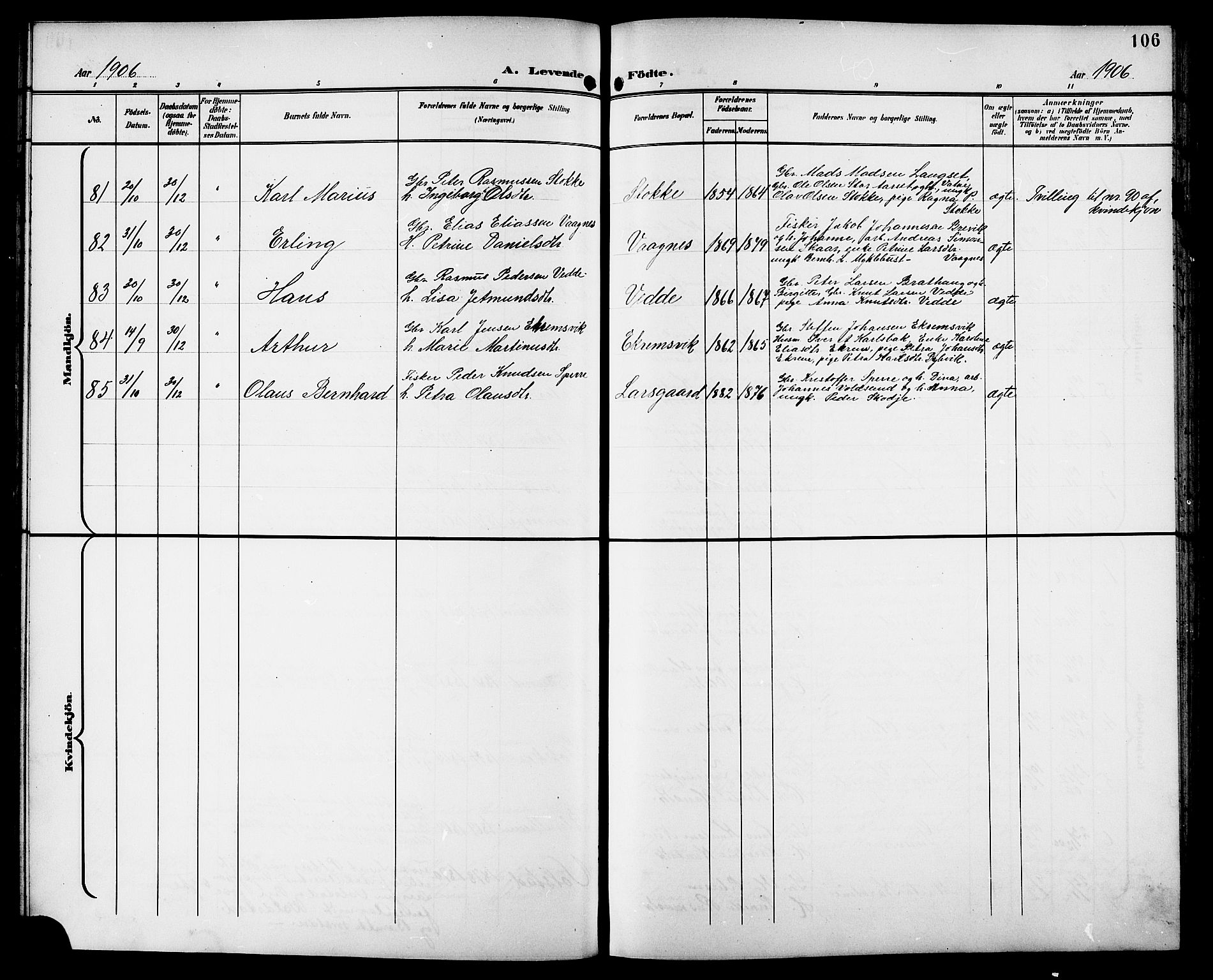 Ministerialprotokoller, klokkerbøker og fødselsregistre - Møre og Romsdal, AV/SAT-A-1454/528/L0432: Parish register (copy) no. 528C13, 1898-1918, p. 106