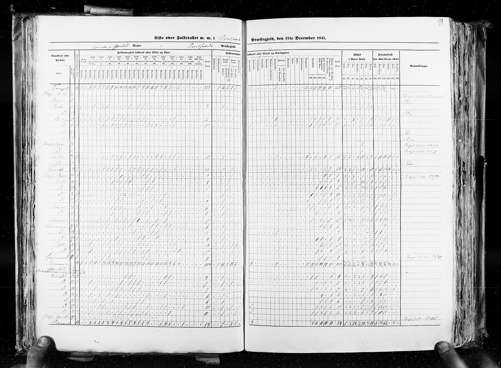 RA, Census 1845, vol. 4: Buskerud amt og Jarlsberg og Larvik amt, 1845, p. 99