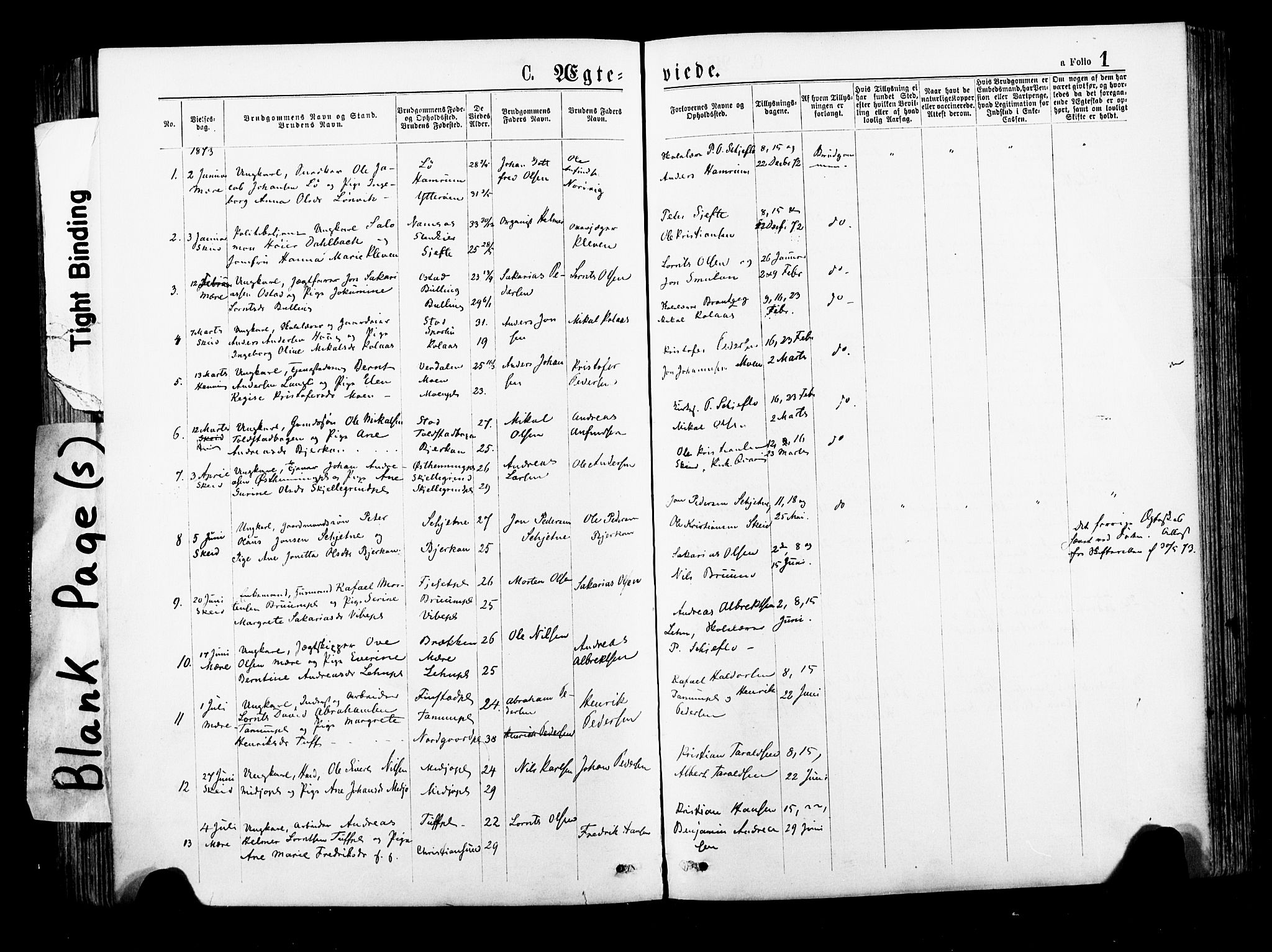 Ministerialprotokoller, klokkerbøker og fødselsregistre - Nord-Trøndelag, SAT/A-1458/735/L0348: Parish register (official) no. 735A09 /1, 1873-1883, p. 1