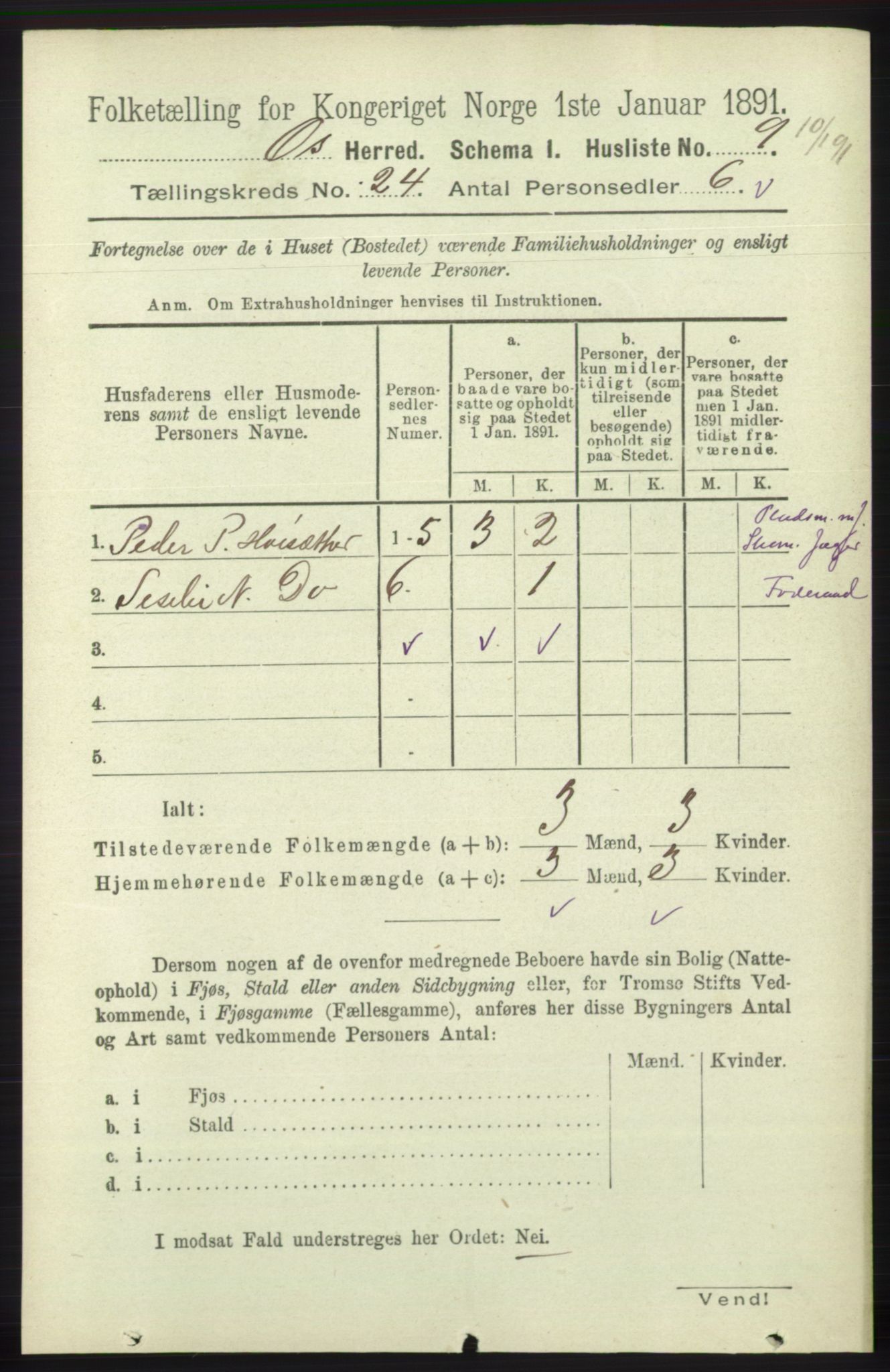 RA, 1891 census for 1243 Os, 1891, p. 5196