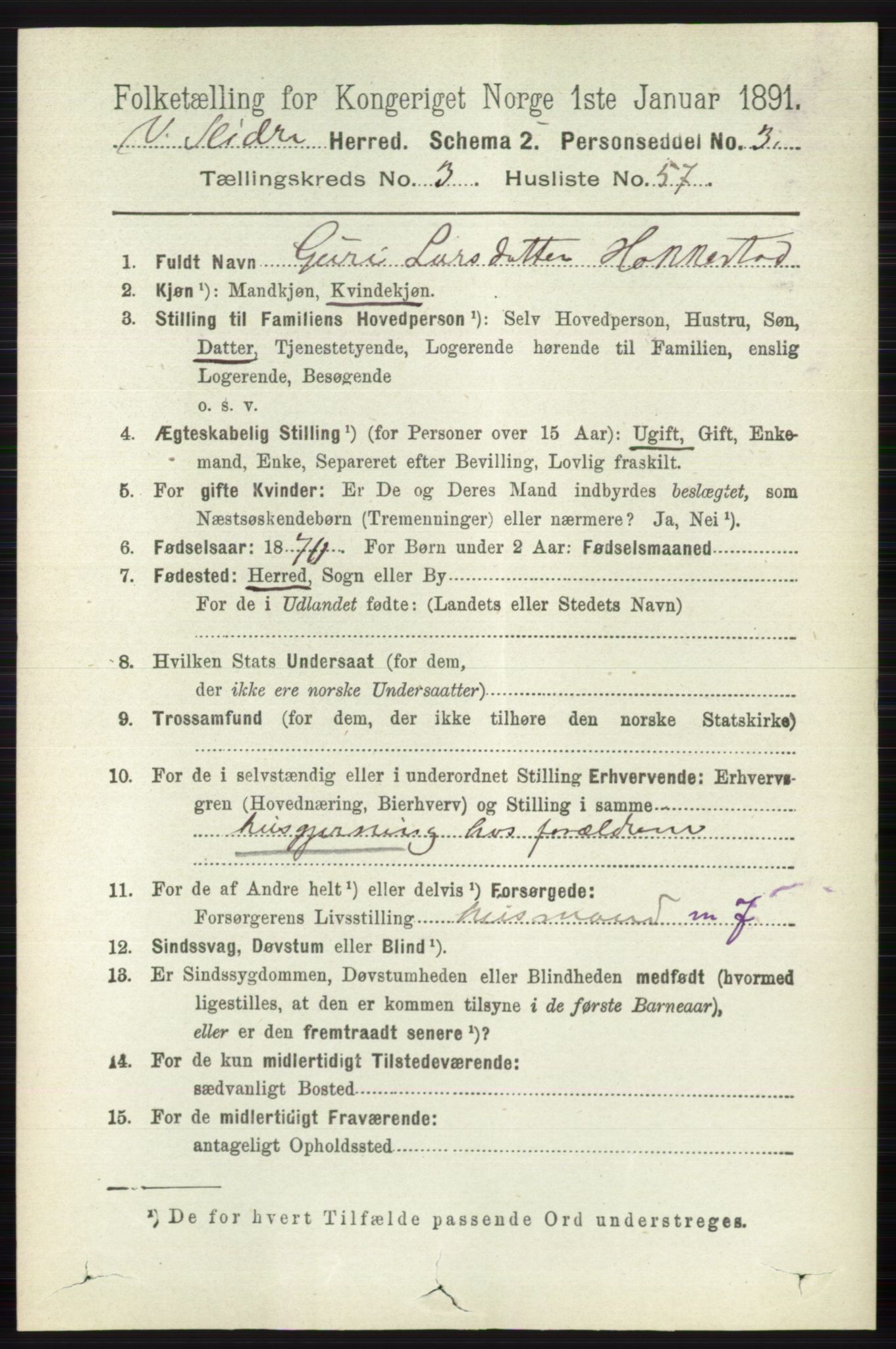 RA, 1891 census for 0543 Vestre Slidre, 1891, p. 1172