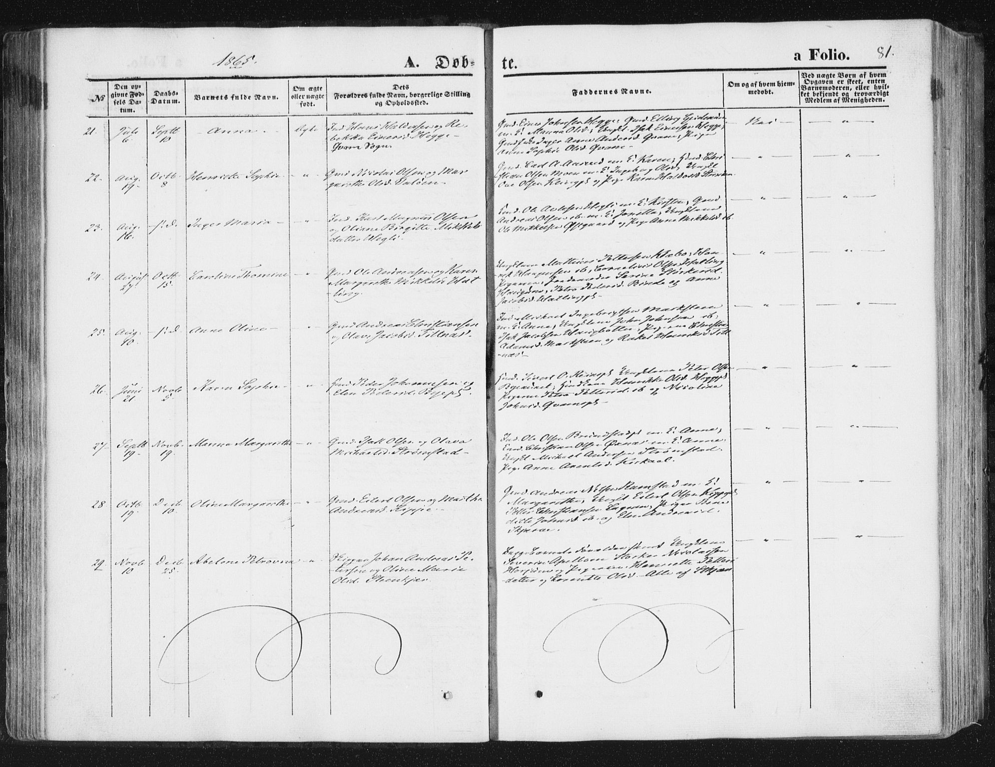 Ministerialprotokoller, klokkerbøker og fødselsregistre - Nord-Trøndelag, SAT/A-1458/746/L0447: Parish register (official) no. 746A06, 1860-1877, p. 81