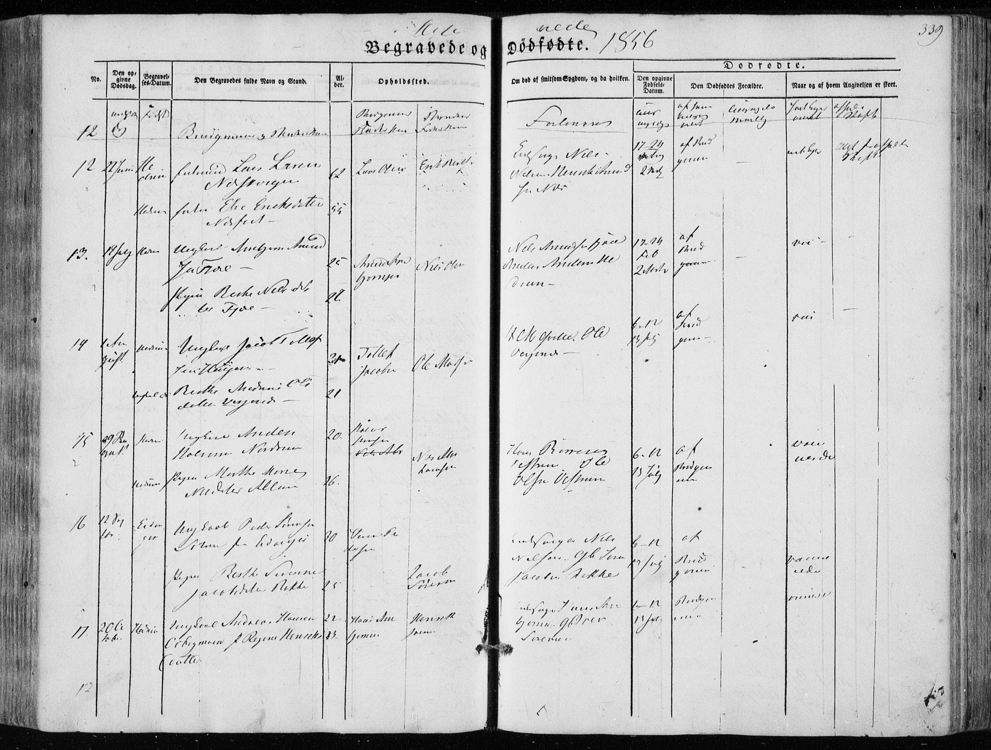 Hedrum kirkebøker, AV/SAKO-A-344/F/Fa/L0006: Parish register (official) no. I 6, 1849-1857, p. 339