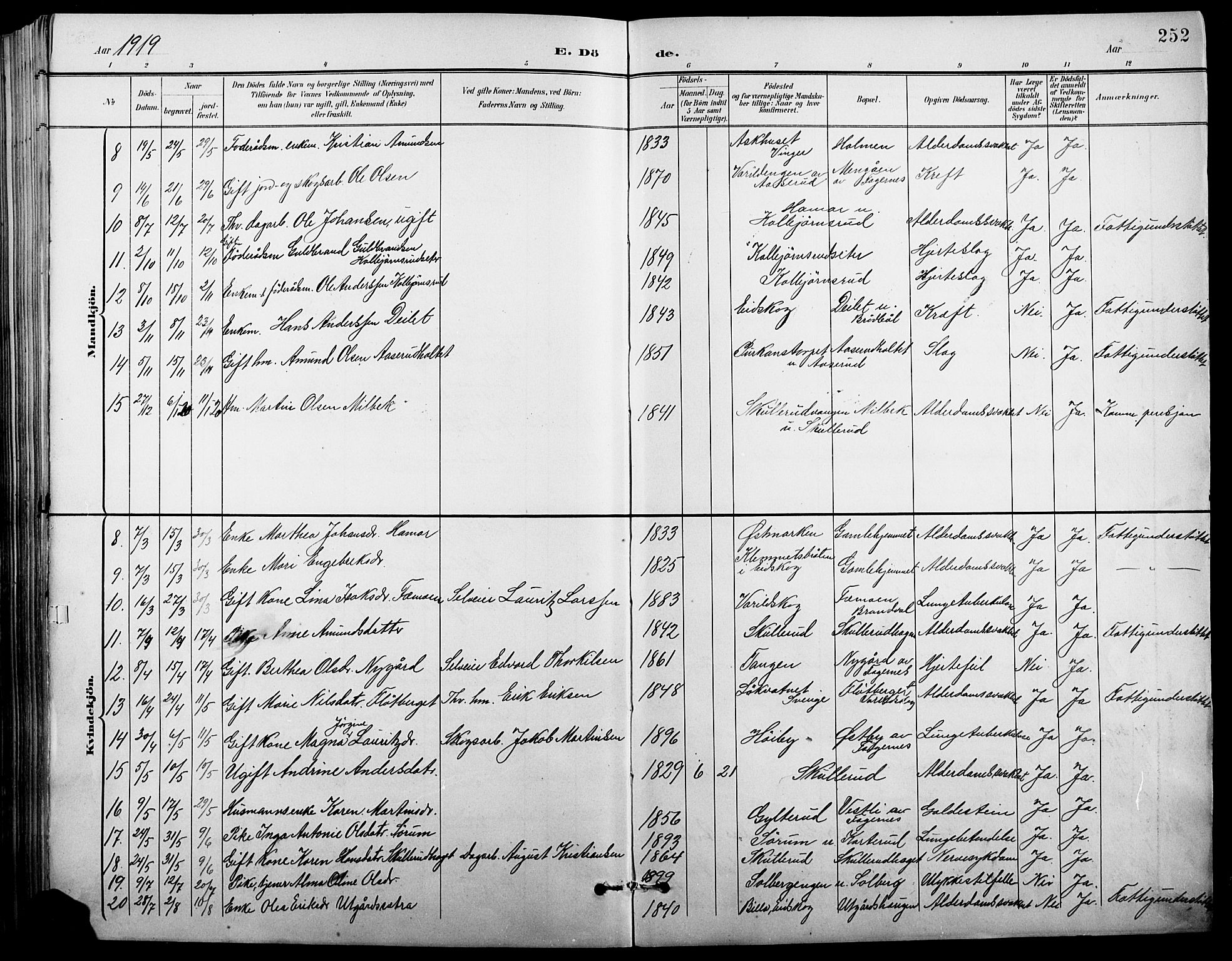 Vinger prestekontor, AV/SAH-PREST-024/H/Ha/Hab/L0004: Parish register (copy) no. 4, 1895-1920, p. 252