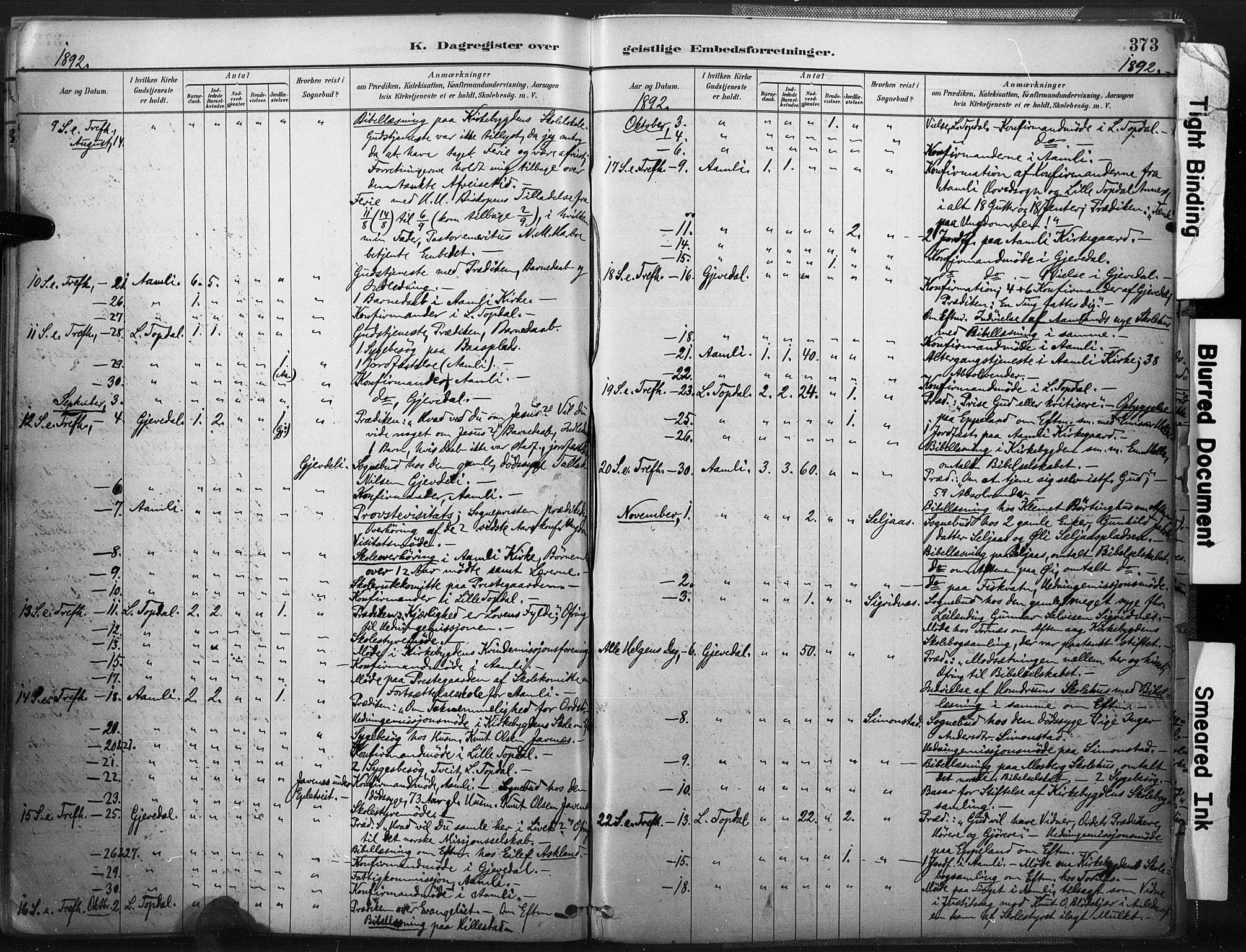 Åmli sokneprestkontor, AV/SAK-1111-0050/F/Fa/Fac/L0010: Parish register (official) no. A 10 /1, 1885-1899, p. 373
