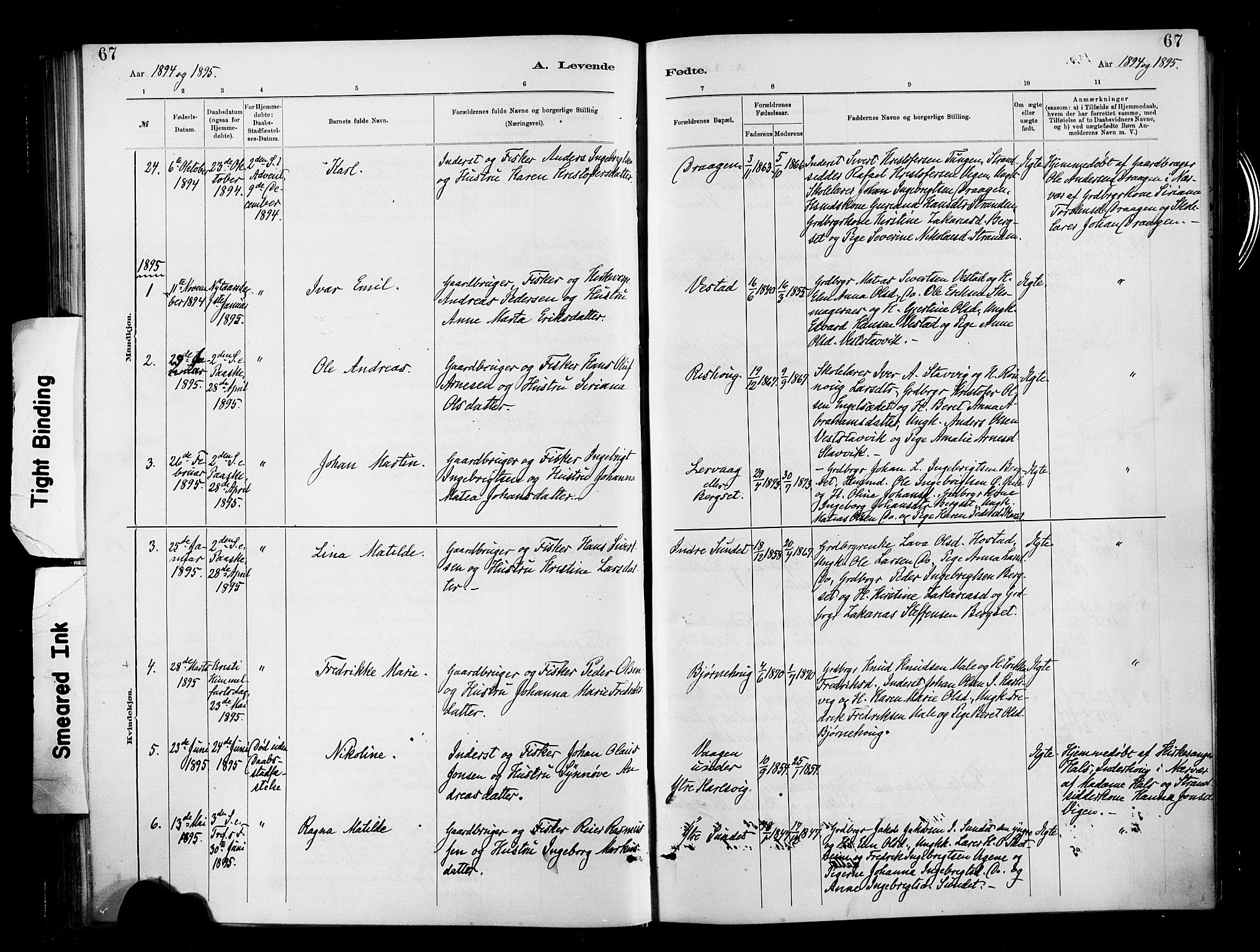 Ministerialprotokoller, klokkerbøker og fødselsregistre - Møre og Romsdal, SAT/A-1454/566/L0769: Parish register (official) no. 566A08, 1881-1903, p. 67
