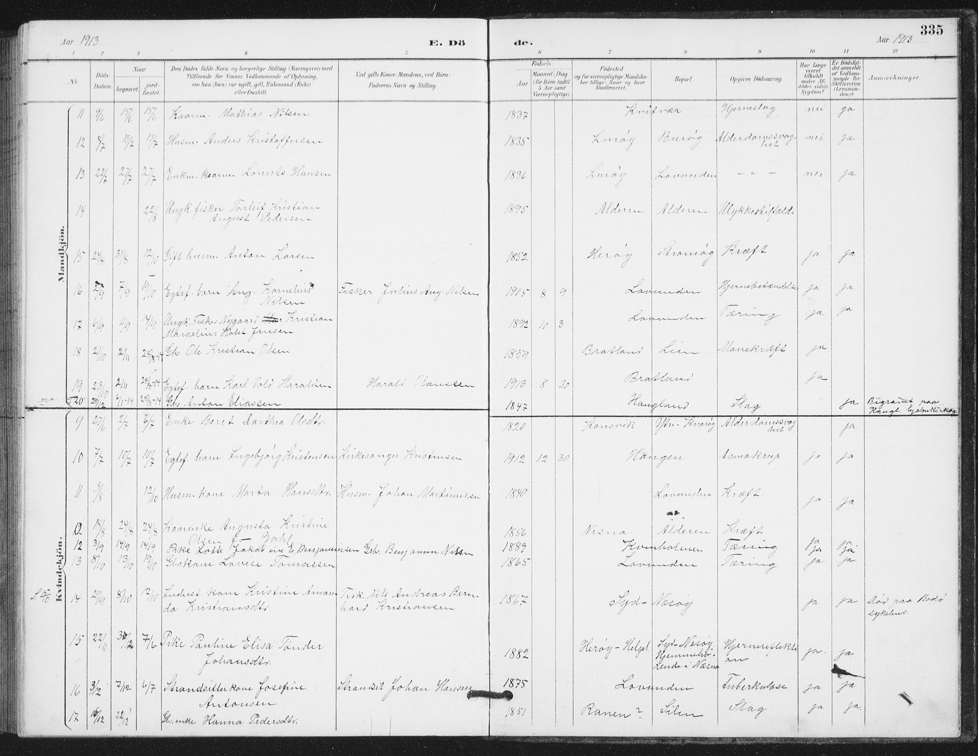 Ministerialprotokoller, klokkerbøker og fødselsregistre - Nordland, AV/SAT-A-1459/839/L0573: Parish register (copy) no. 839C03, 1892-1917, p. 335