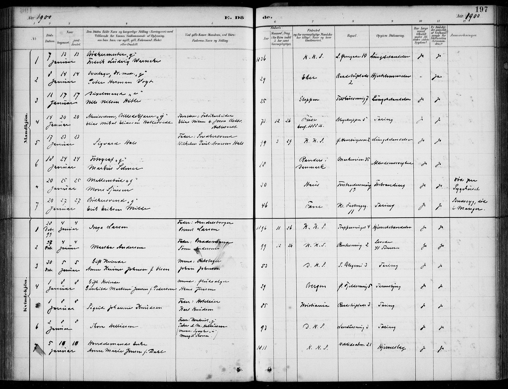 Korskirken sokneprestembete, SAB/A-76101/H/Hab: Parish register (copy) no. E 4, 1884-1910, p. 197