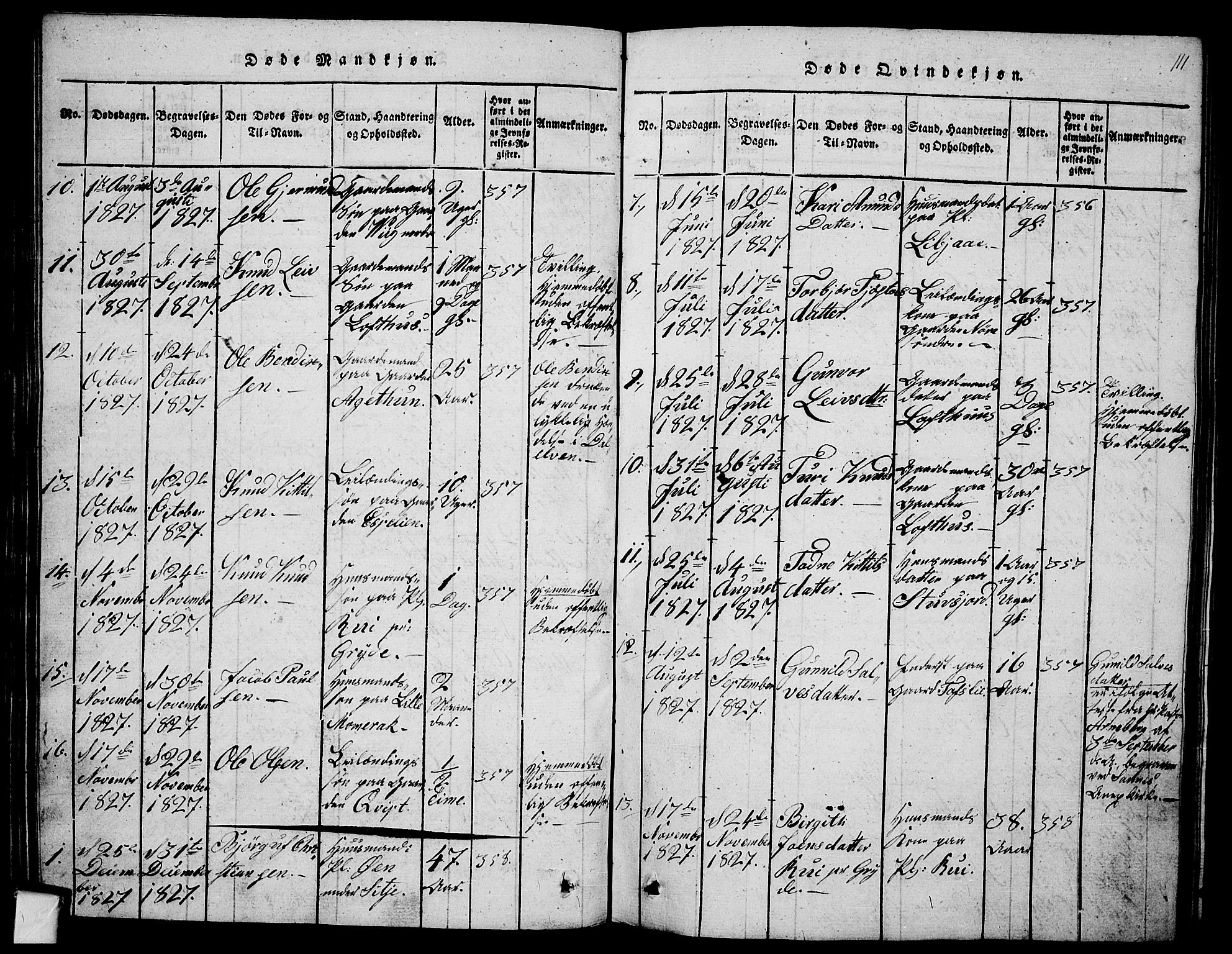 Fyresdal kirkebøker, SAKO/A-263/G/Ga/L0001: Parish register (copy) no. I 1, 1816-1840, p. 111