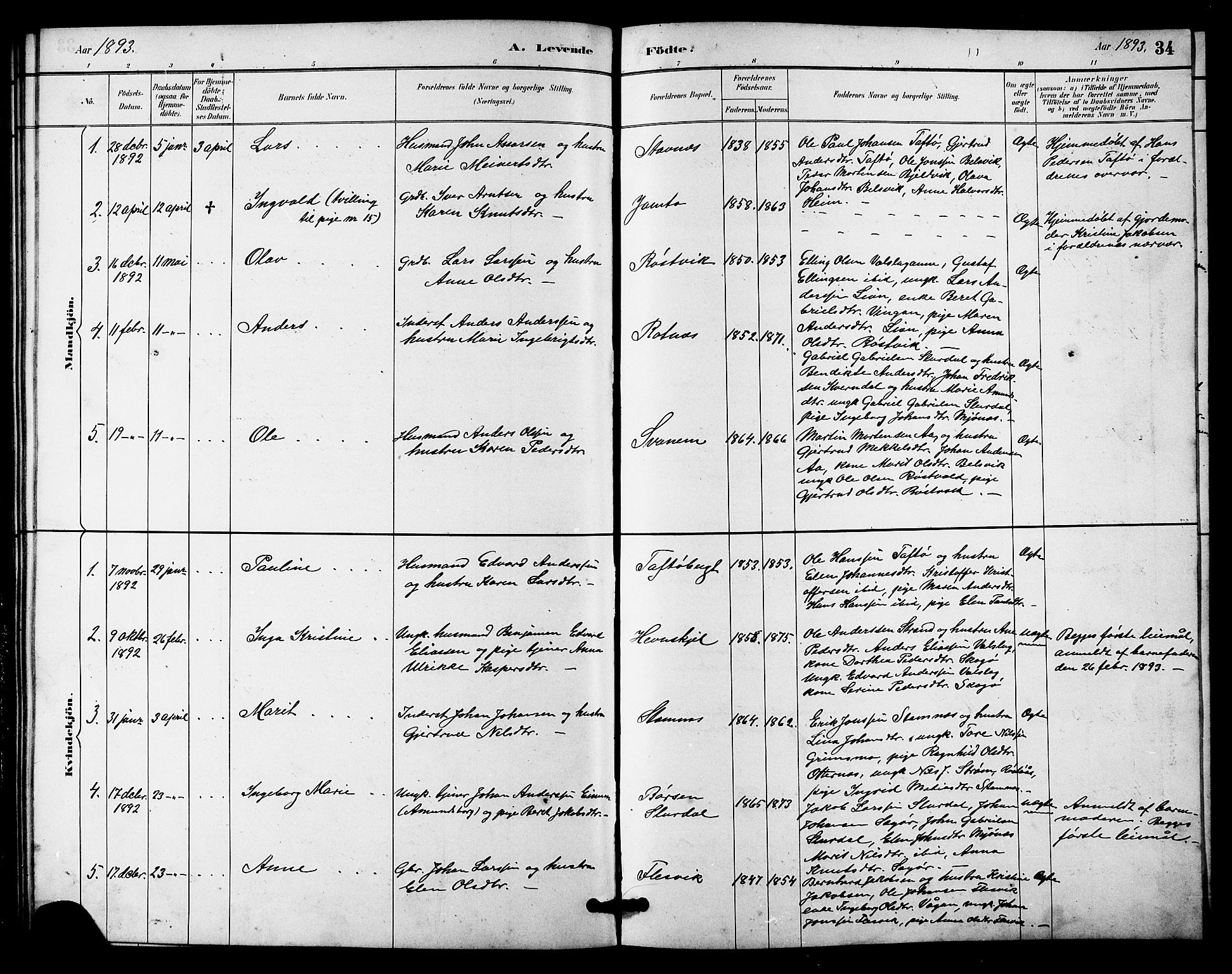 Ministerialprotokoller, klokkerbøker og fødselsregistre - Sør-Trøndelag, AV/SAT-A-1456/633/L0519: Parish register (copy) no. 633C01, 1884-1905, p. 34