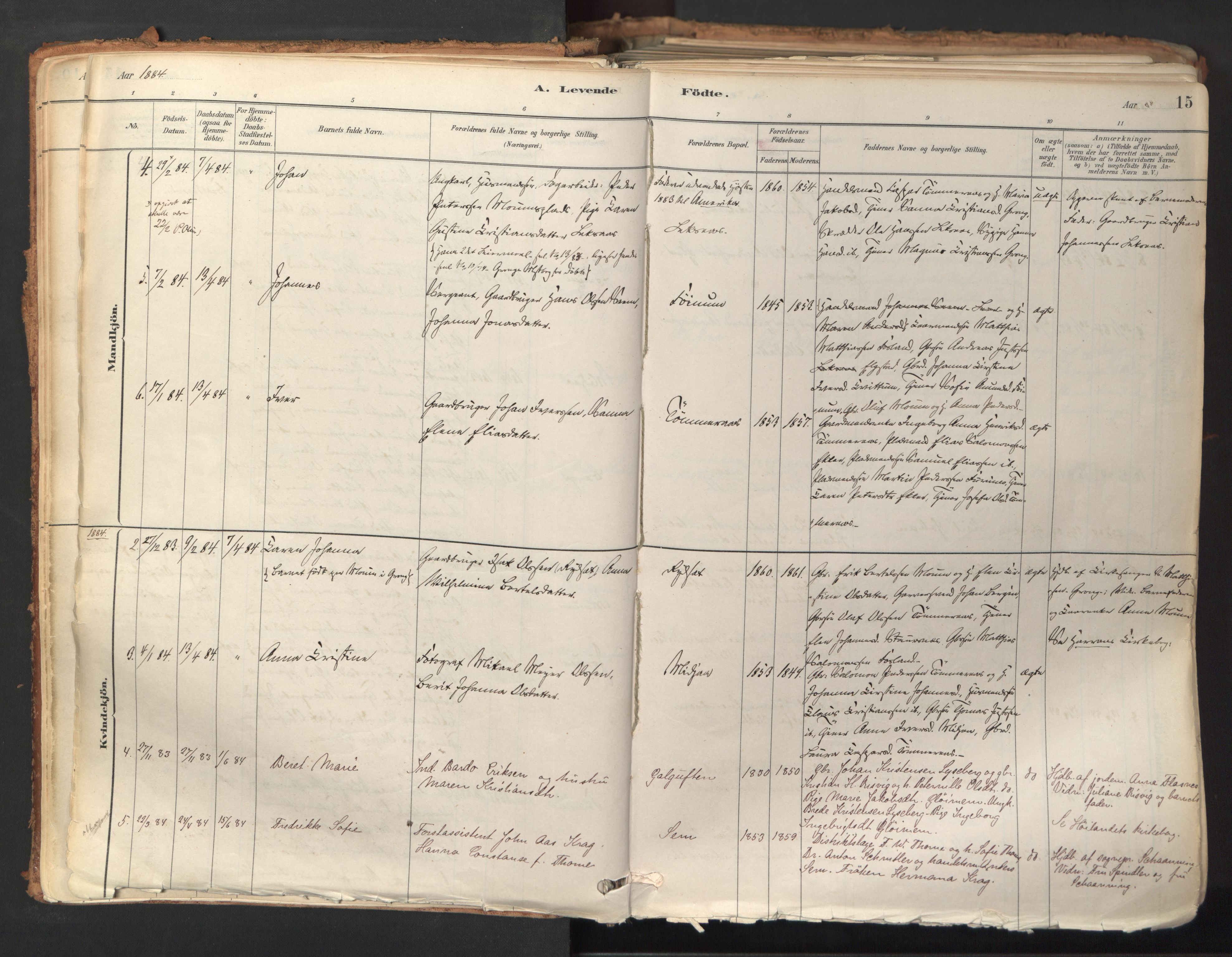 Ministerialprotokoller, klokkerbøker og fødselsregistre - Nord-Trøndelag, SAT/A-1458/758/L0519: Parish register (official) no. 758A04, 1880-1926, p. 15