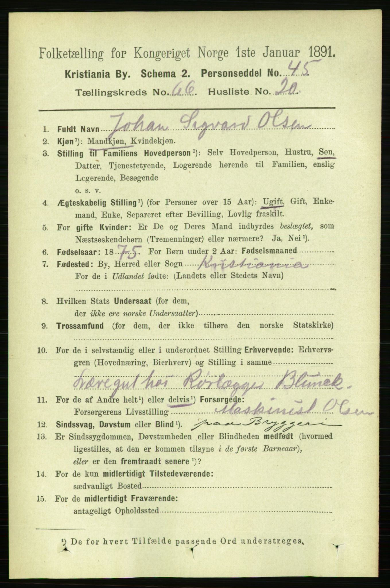 RA, 1891 census for 0301 Kristiania, 1891, p. 36011