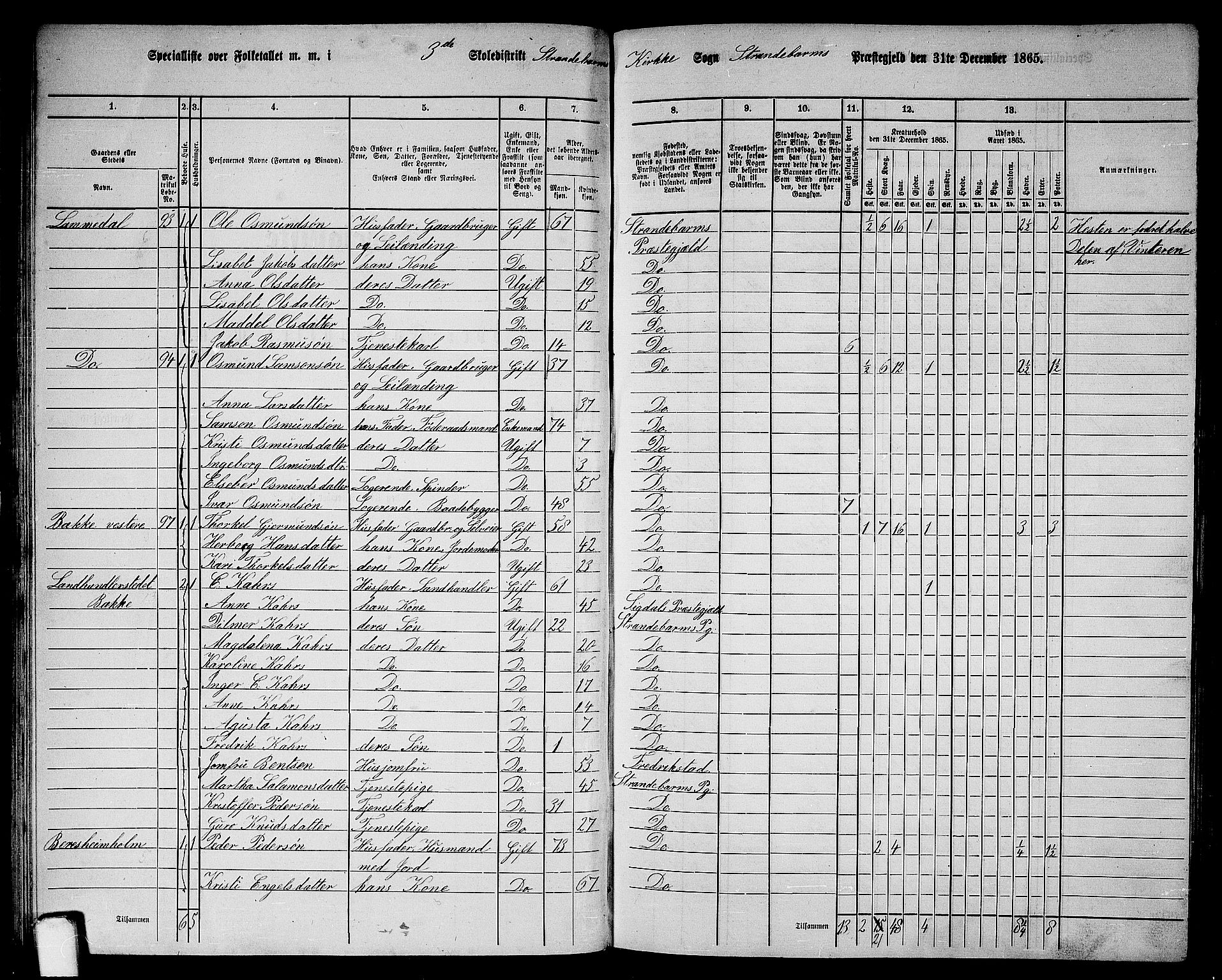 RA, 1865 census for Strandebarm, 1865, p. 49