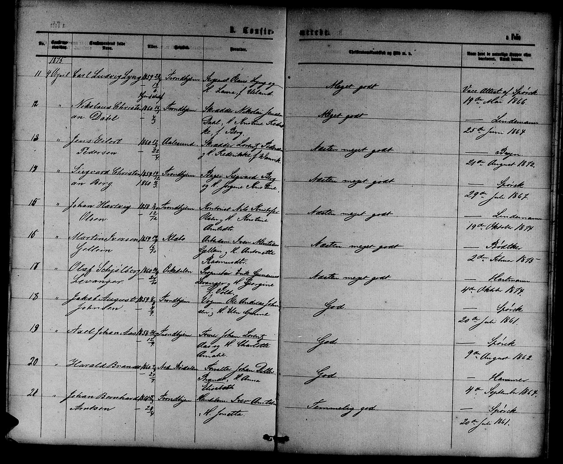 Ministerialprotokoller, klokkerbøker og fødselsregistre - Sør-Trøndelag, AV/SAT-A-1456/601/L0087: Parish register (copy) no. 601C05, 1864-1881, p. 209c