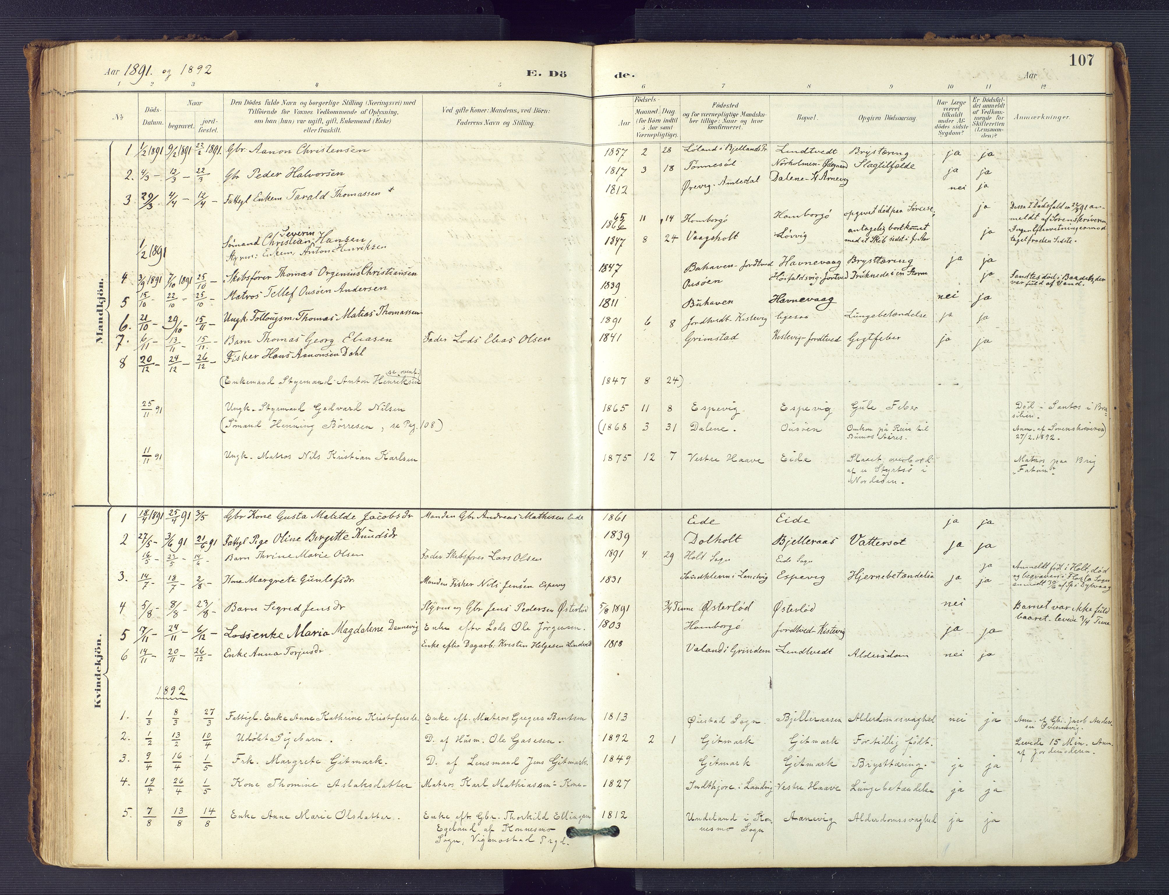 Hommedal sokneprestkontor, SAK/1111-0023/F/Fa/Faa/L0003: Parish register (official) no. A 3, 1885-1916, p. 107