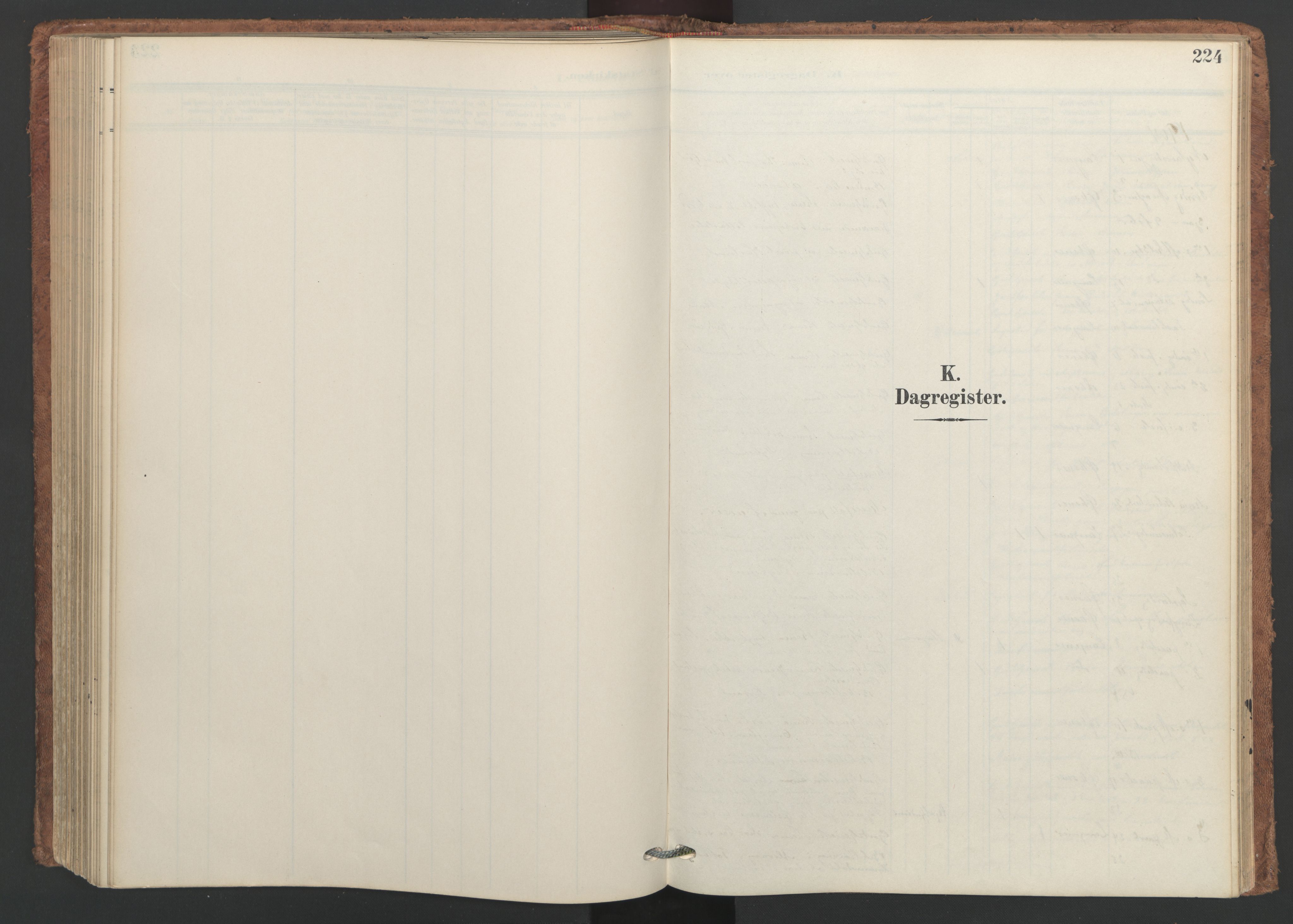 Ministerialprotokoller, klokkerbøker og fødselsregistre - Nordland, SAT/A-1459/893/L1339: Parish register (official) no. 893A11, 1904-1914, p. 224