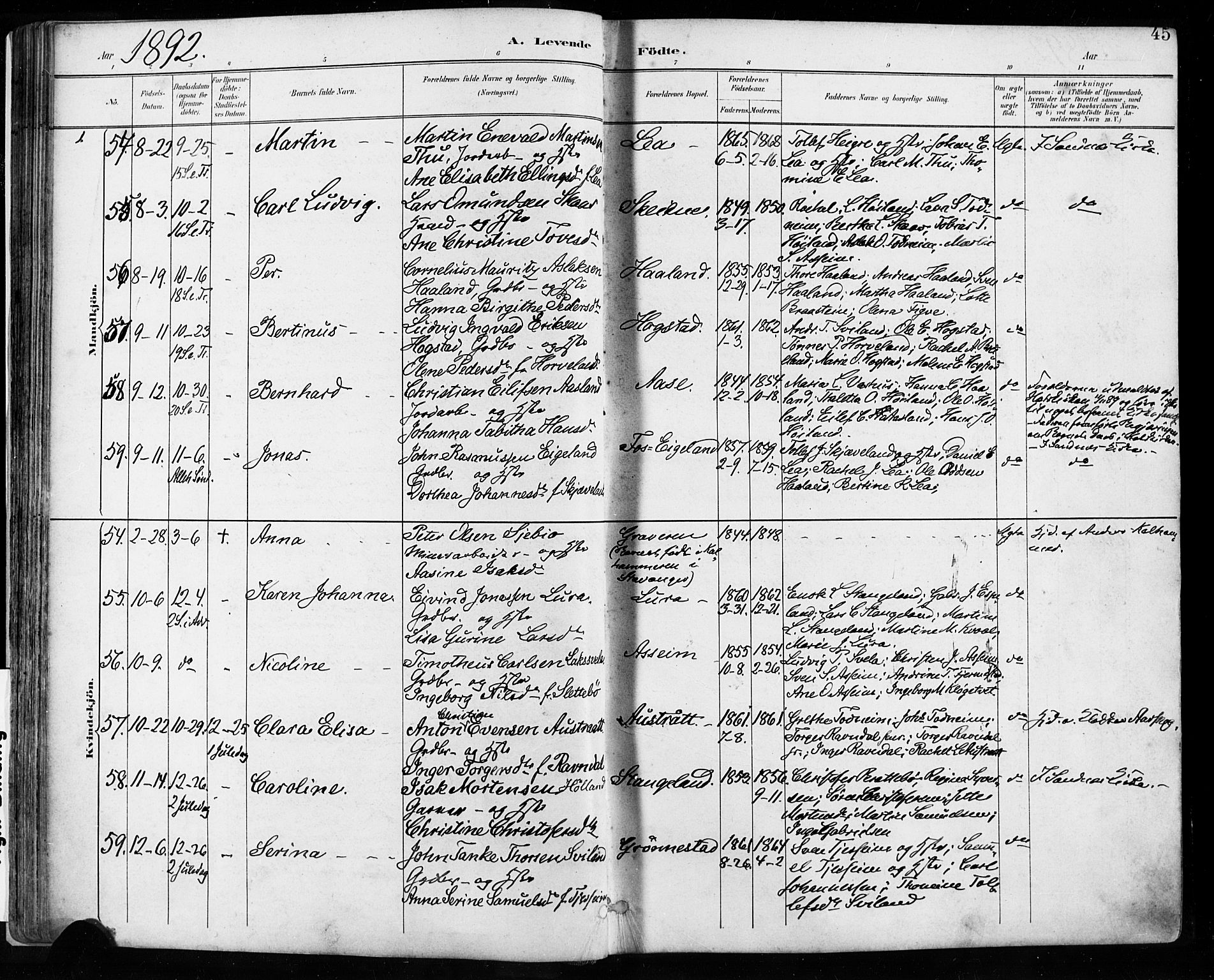 Høyland sokneprestkontor, AV/SAST-A-101799/001/30BA/L0013: Parish register (official) no. A 13.1, 1889-1898, p. 45