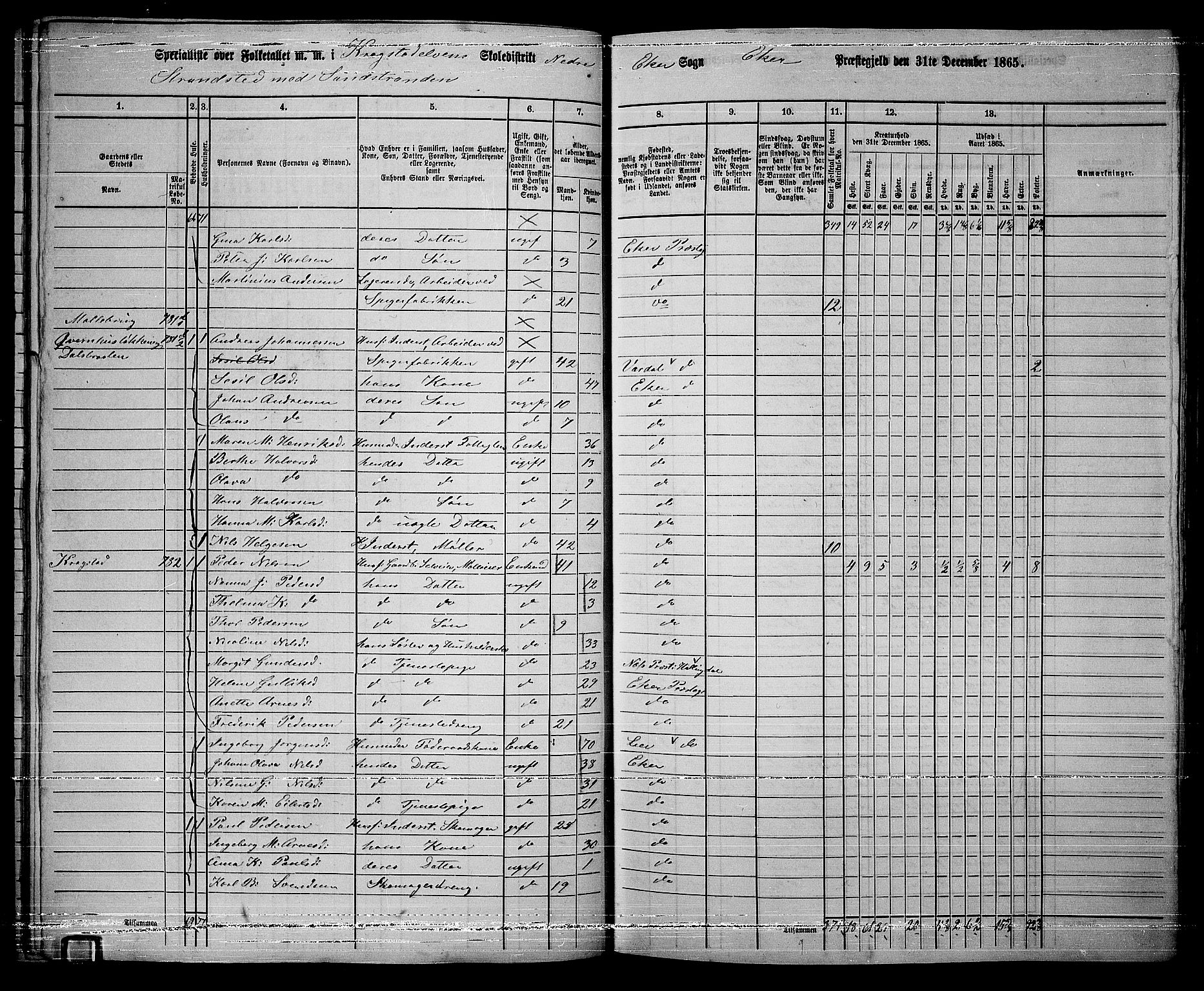 RA, 1865 census for Eiker, 1865, p. 381