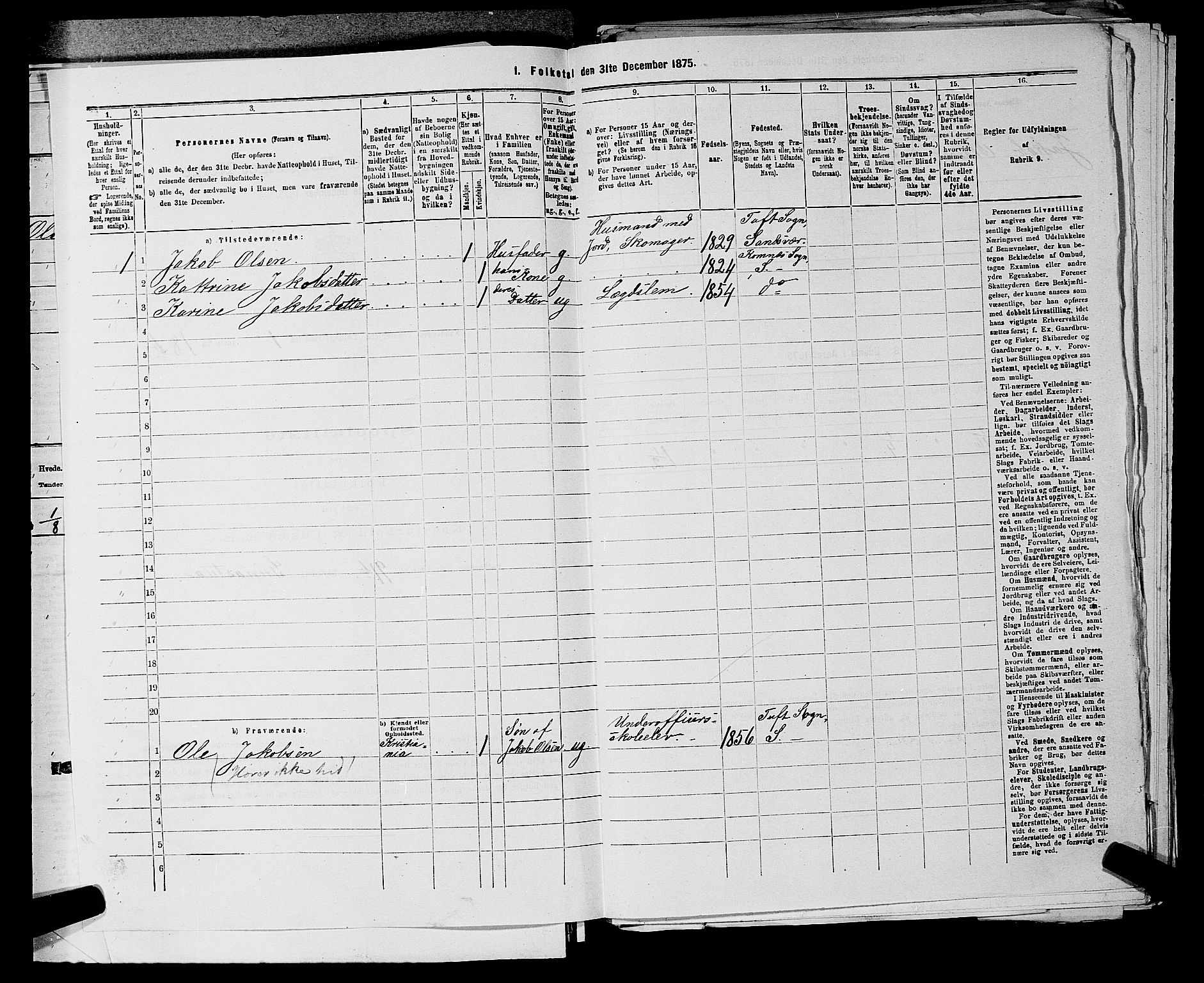 SAKO, 1875 census for 0629P Sandsvær, 1875, p. 337