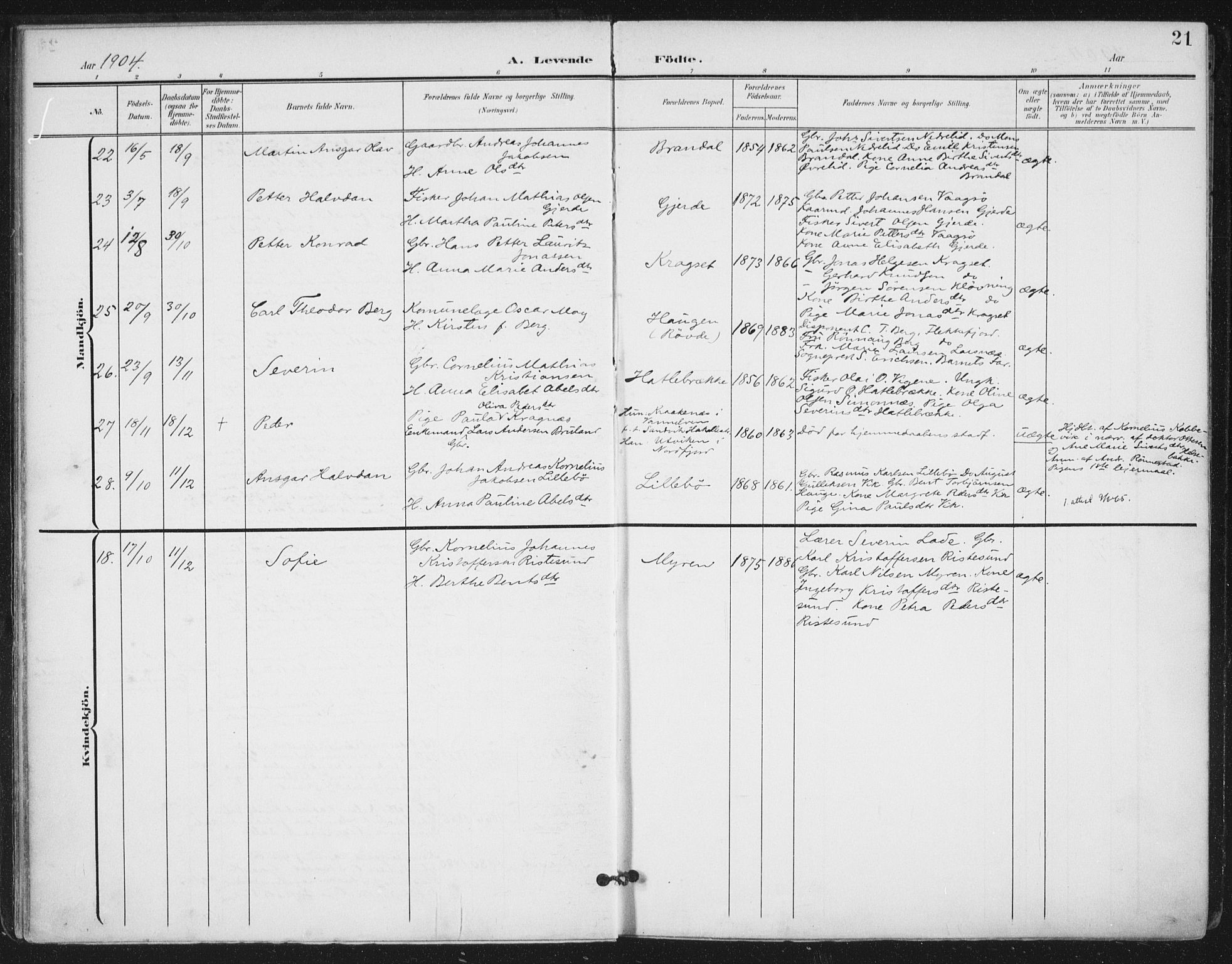 Ministerialprotokoller, klokkerbøker og fødselsregistre - Møre og Romsdal, SAT/A-1454/503/L0038: Parish register (official) no. 503A06, 1901-1917, p. 21