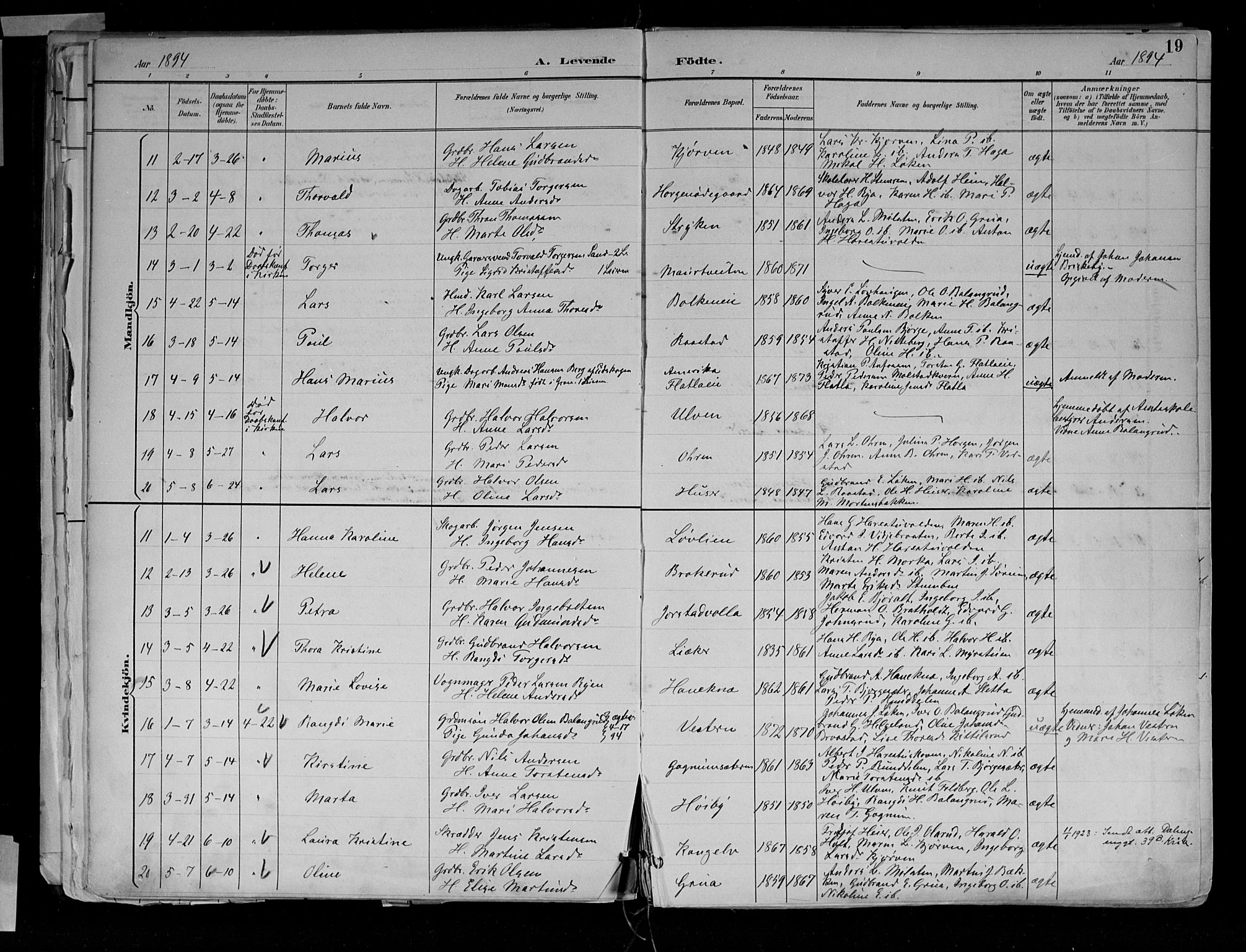Jevnaker prestekontor, SAH/PREST-116/H/Ha/Haa/L0010: Parish register (official) no. 10, 1891-1906, p. 19