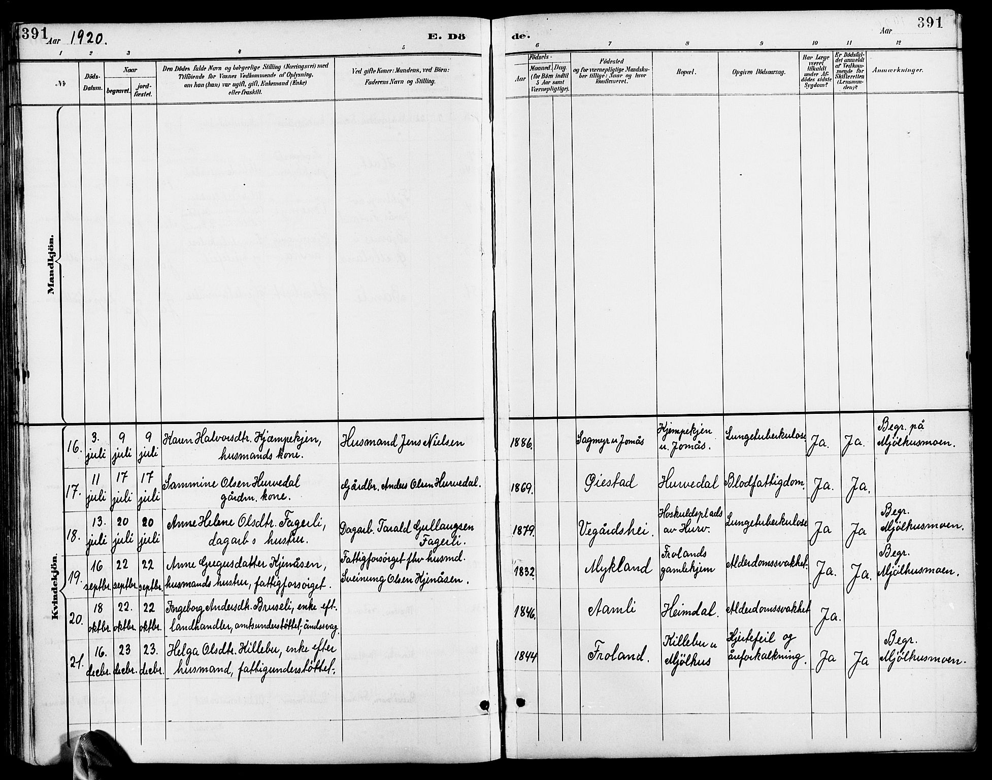 Froland sokneprestkontor, AV/SAK-1111-0013/F/Fb/L0010: Parish register (copy) no. B 10, 1893-1920, p. 391