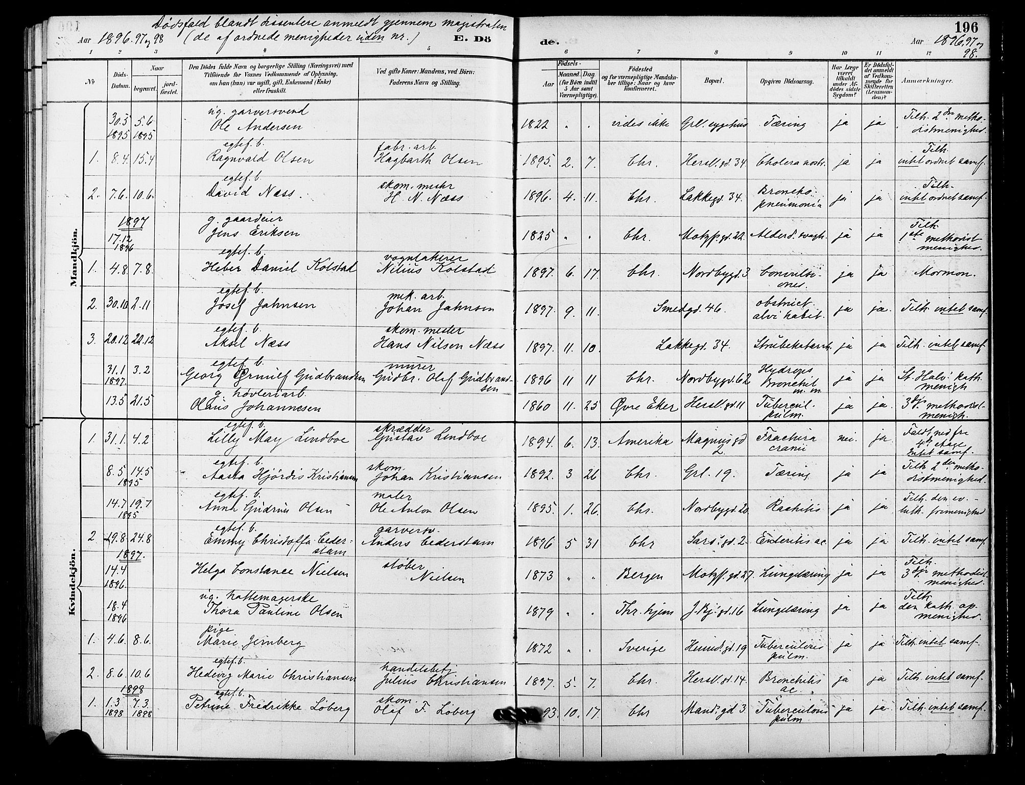 Grønland prestekontor Kirkebøker, SAO/A-10848/F/Fa/L0010: Parish register (official) no. 10, 1891-1898, p. 196