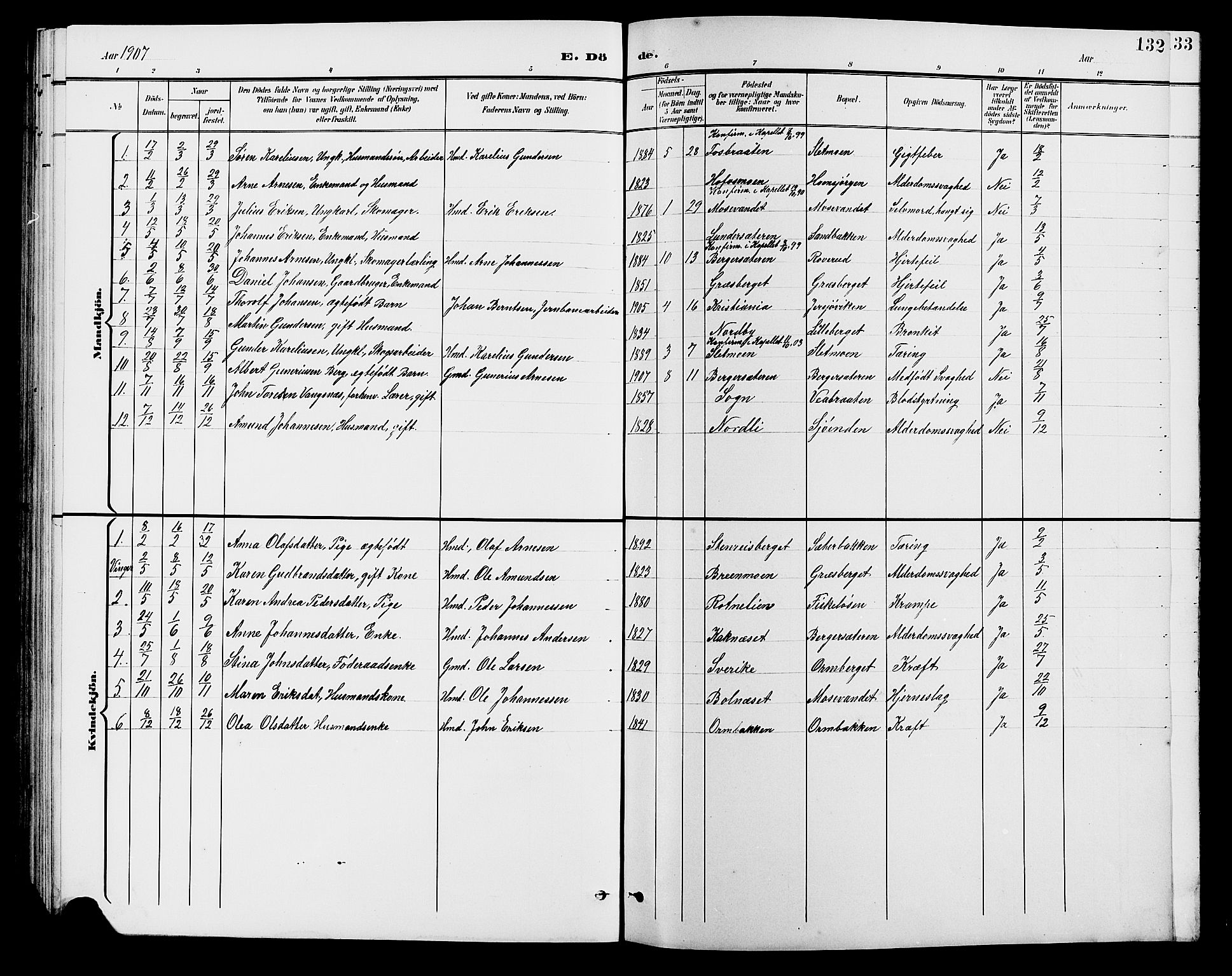 Brandval prestekontor, SAH/PREST-034/H/Ha/Hab/L0001: Parish register (copy) no. 1, 1895-1910, p. 132