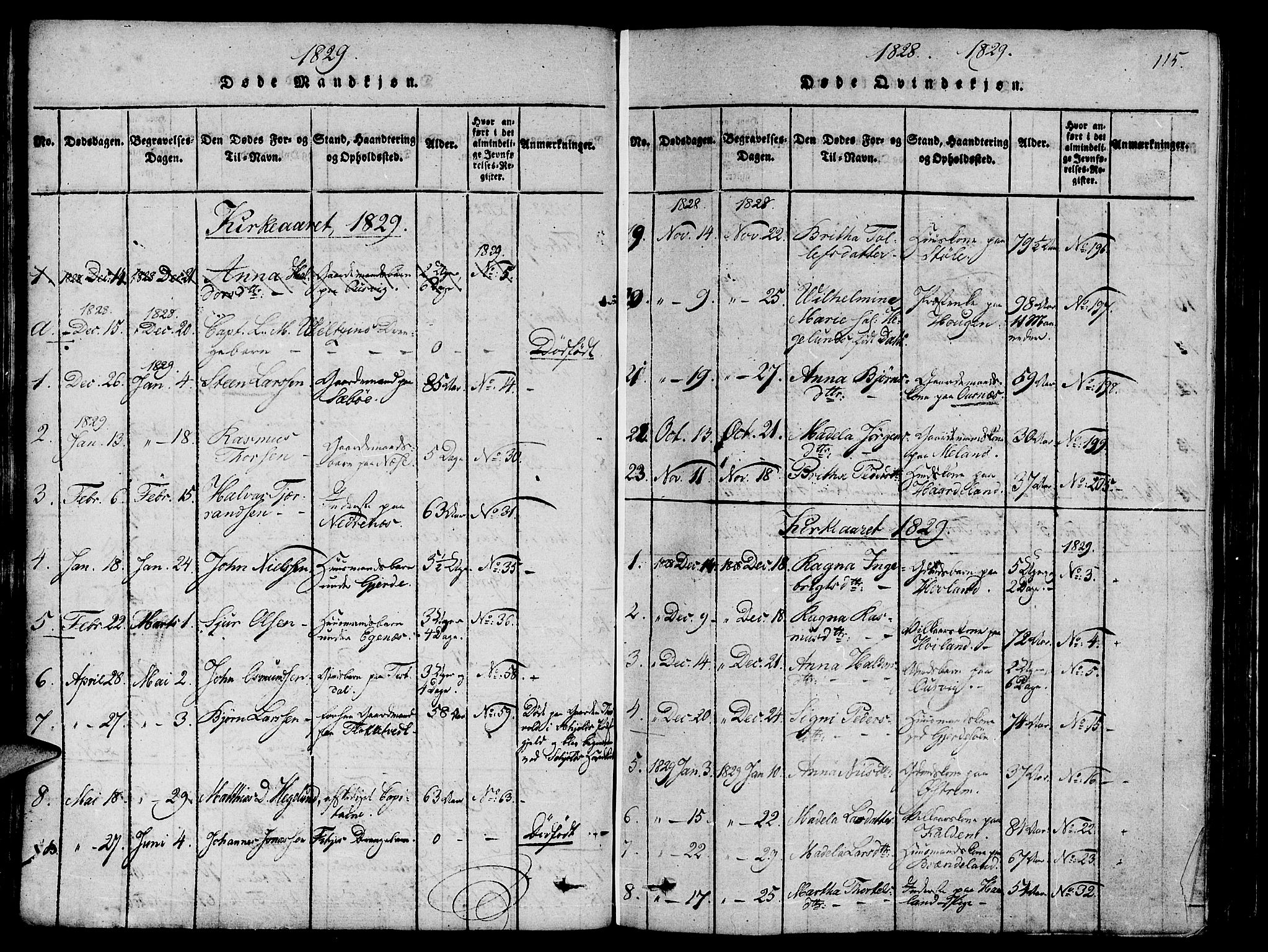 Etne sokneprestembete, SAB/A-75001/H/Haa: Parish register (official) no. A 6, 1815-1831, p. 115