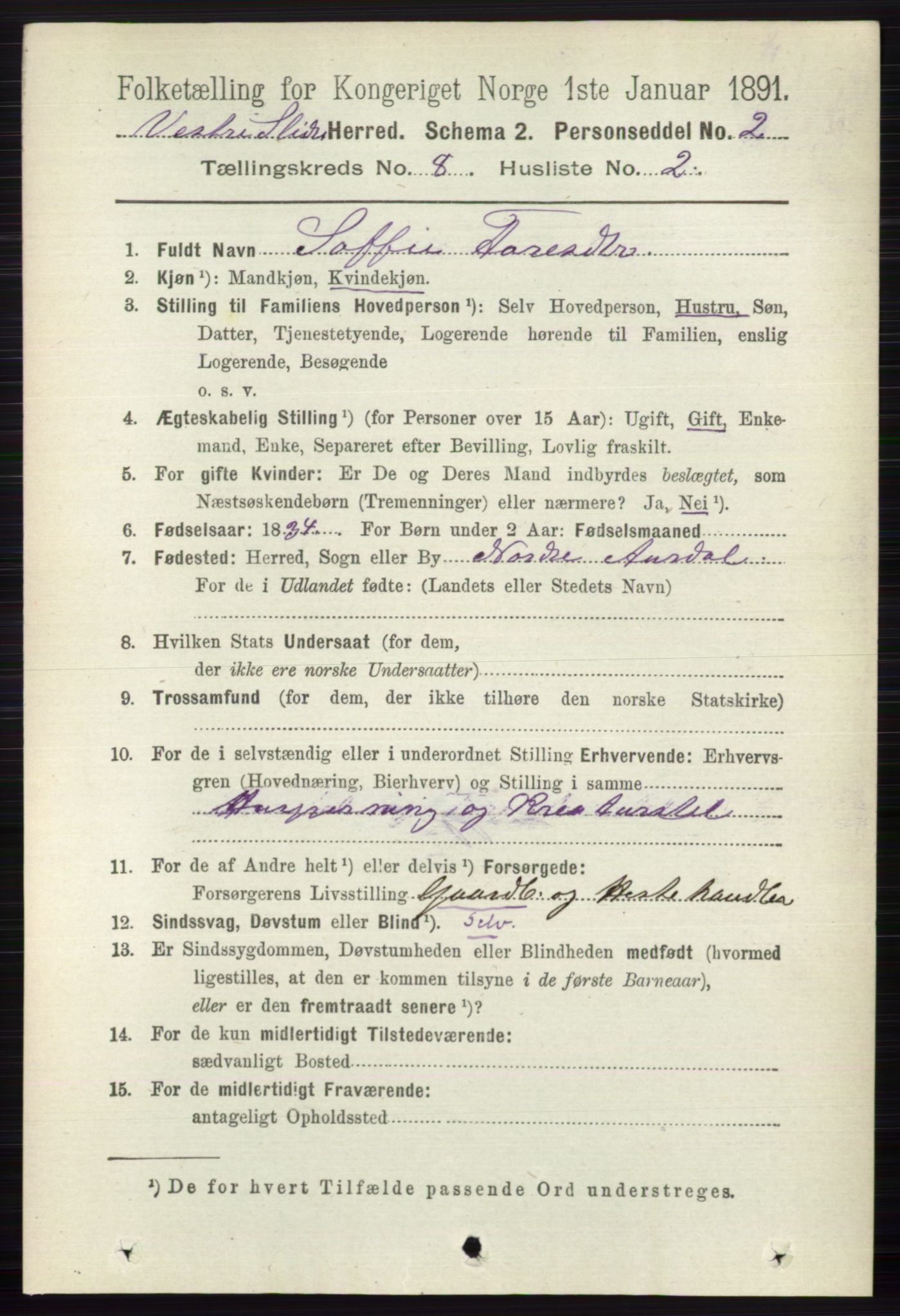 RA, 1891 census for 0543 Vestre Slidre, 1891, p. 2993