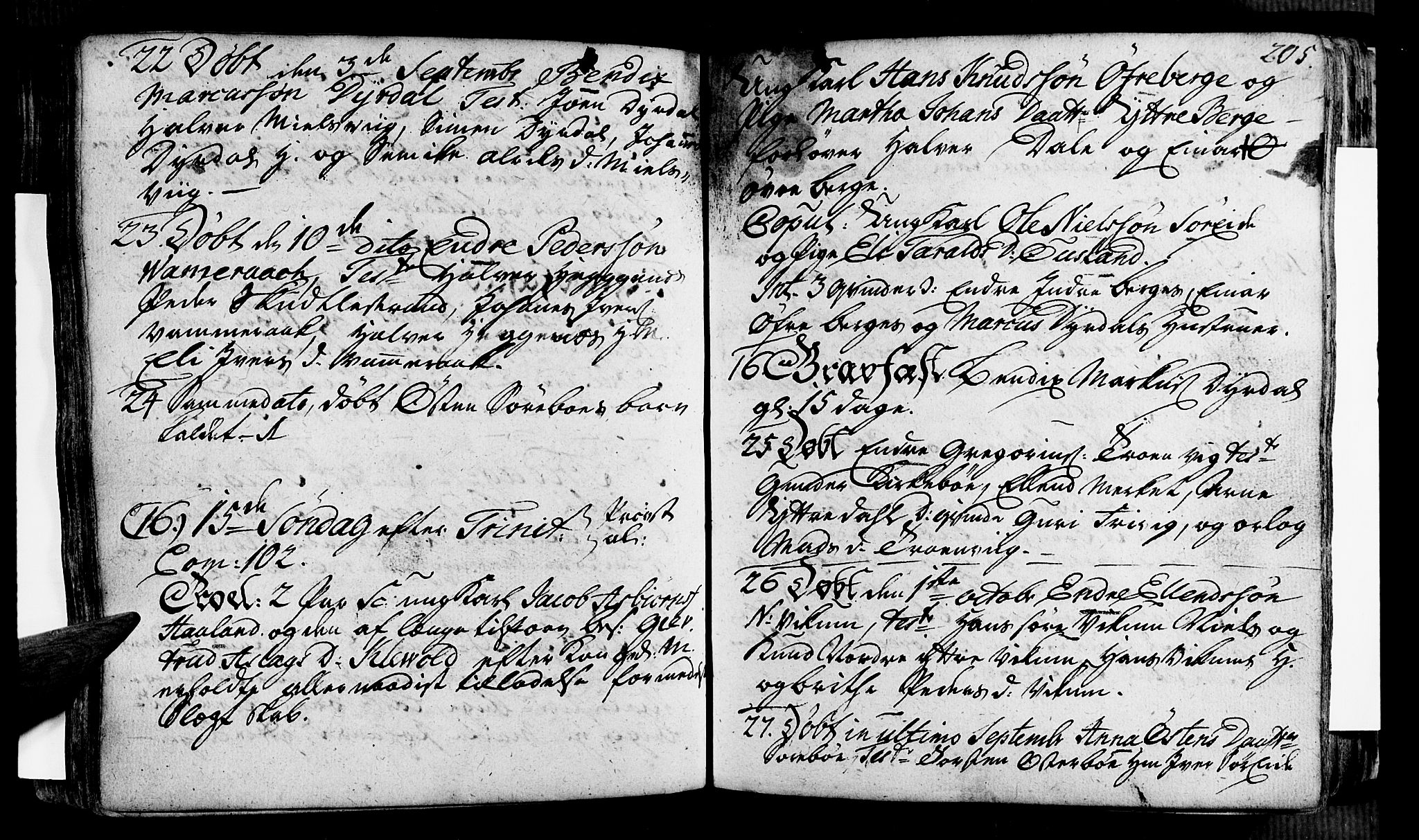 Vik sokneprestembete, AV/SAB-A-81501/H/Haa/Haaa/L0002: Parish register (official) no. A 2 / 3, 1740-1755, p. 205