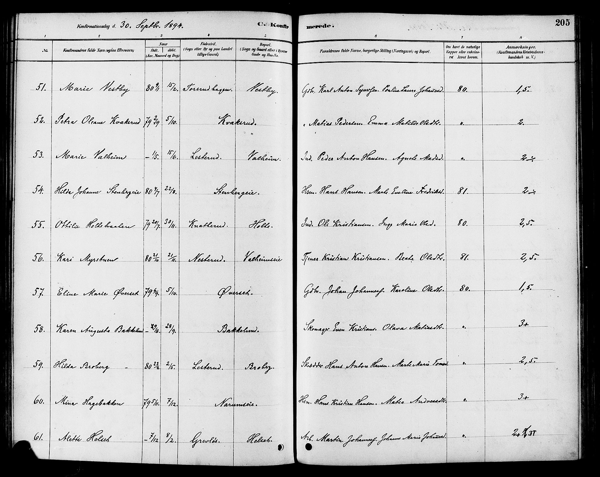 Vestre Toten prestekontor, AV/SAH-PREST-108/H/Ha/Haa/L0009: Parish register (official) no. 9, 1878-1894, p. 205