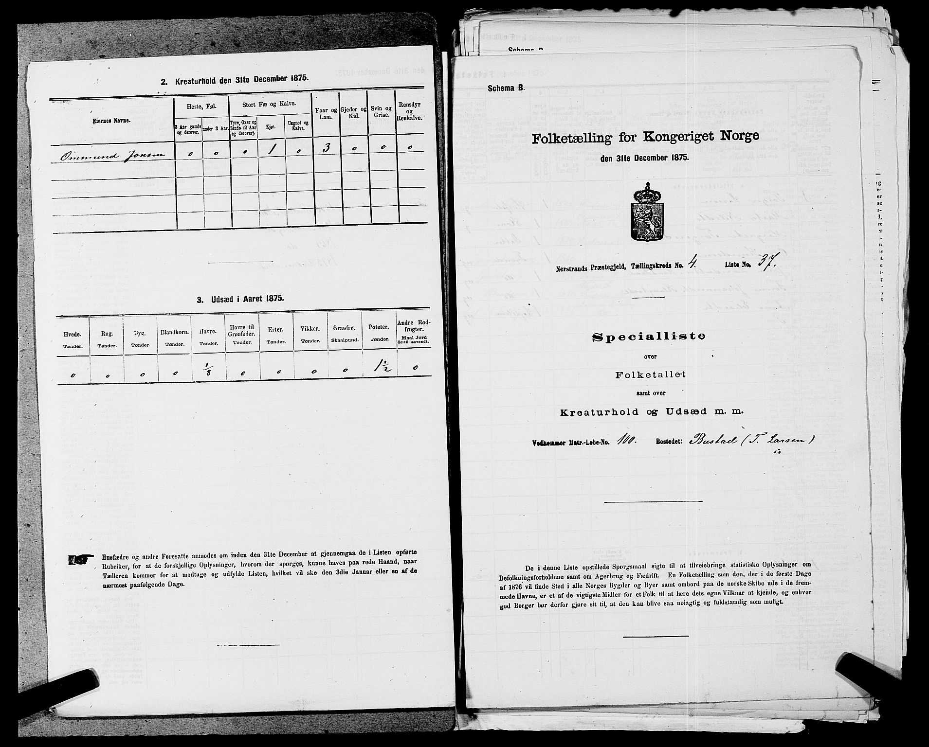 SAST, 1875 census for 1139P Nedstrand, 1875, p. 220