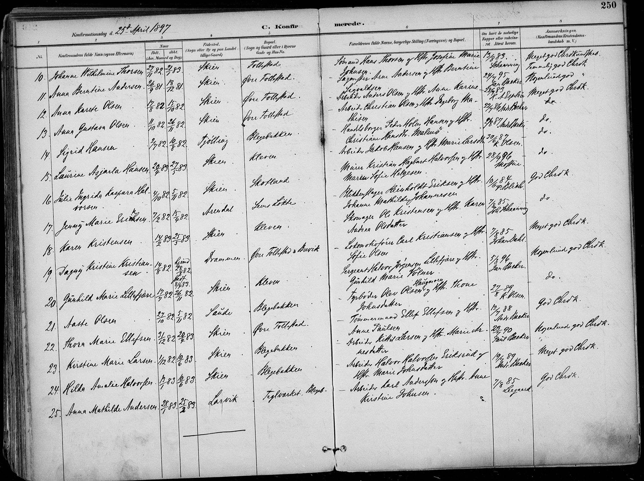 Skien kirkebøker, AV/SAKO-A-302/F/Fa/L0010: Parish register (official) no. 10, 1891-1899, p. 250