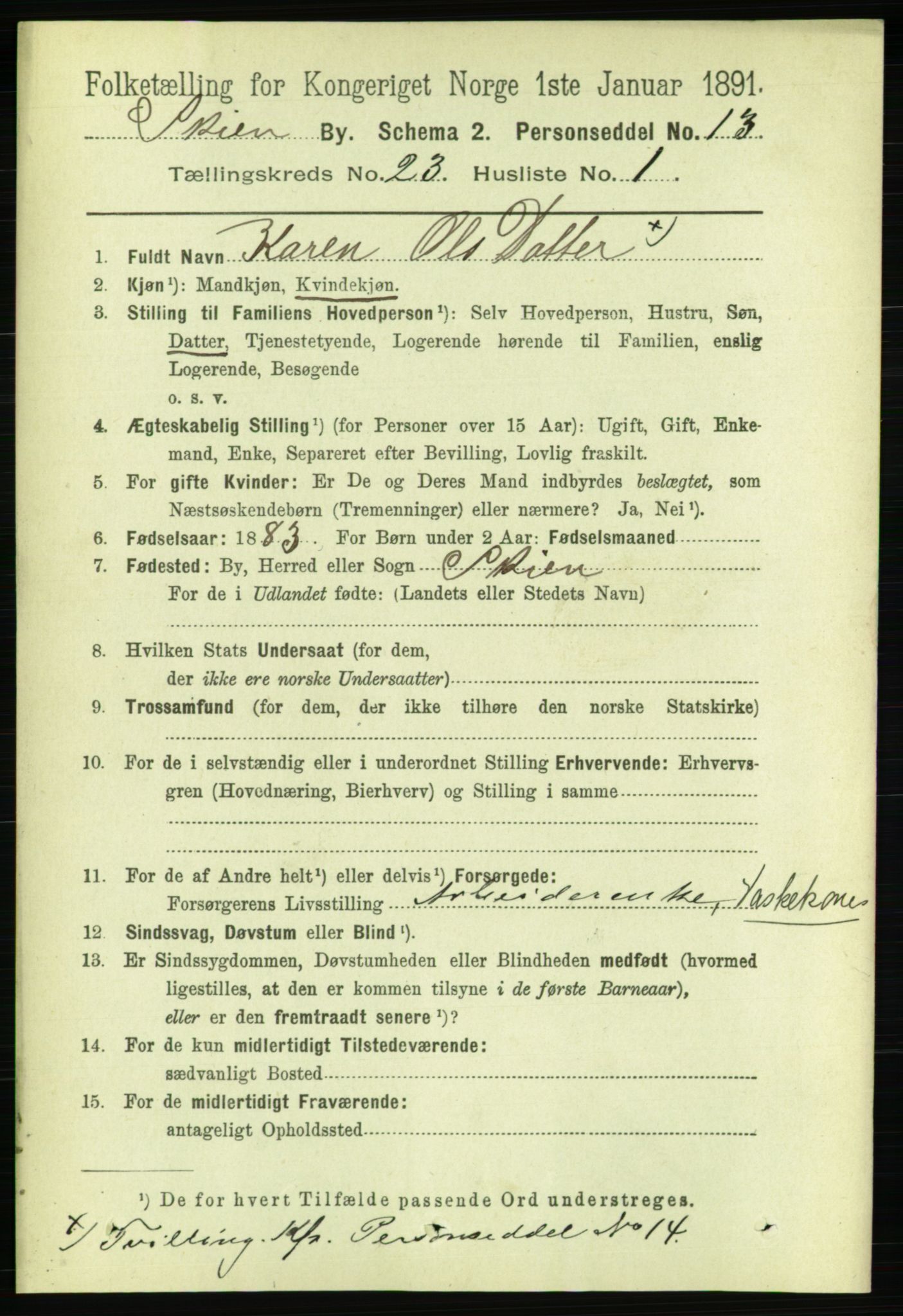 RA, 1891 census for 0806 Skien, 1891, p. 5827