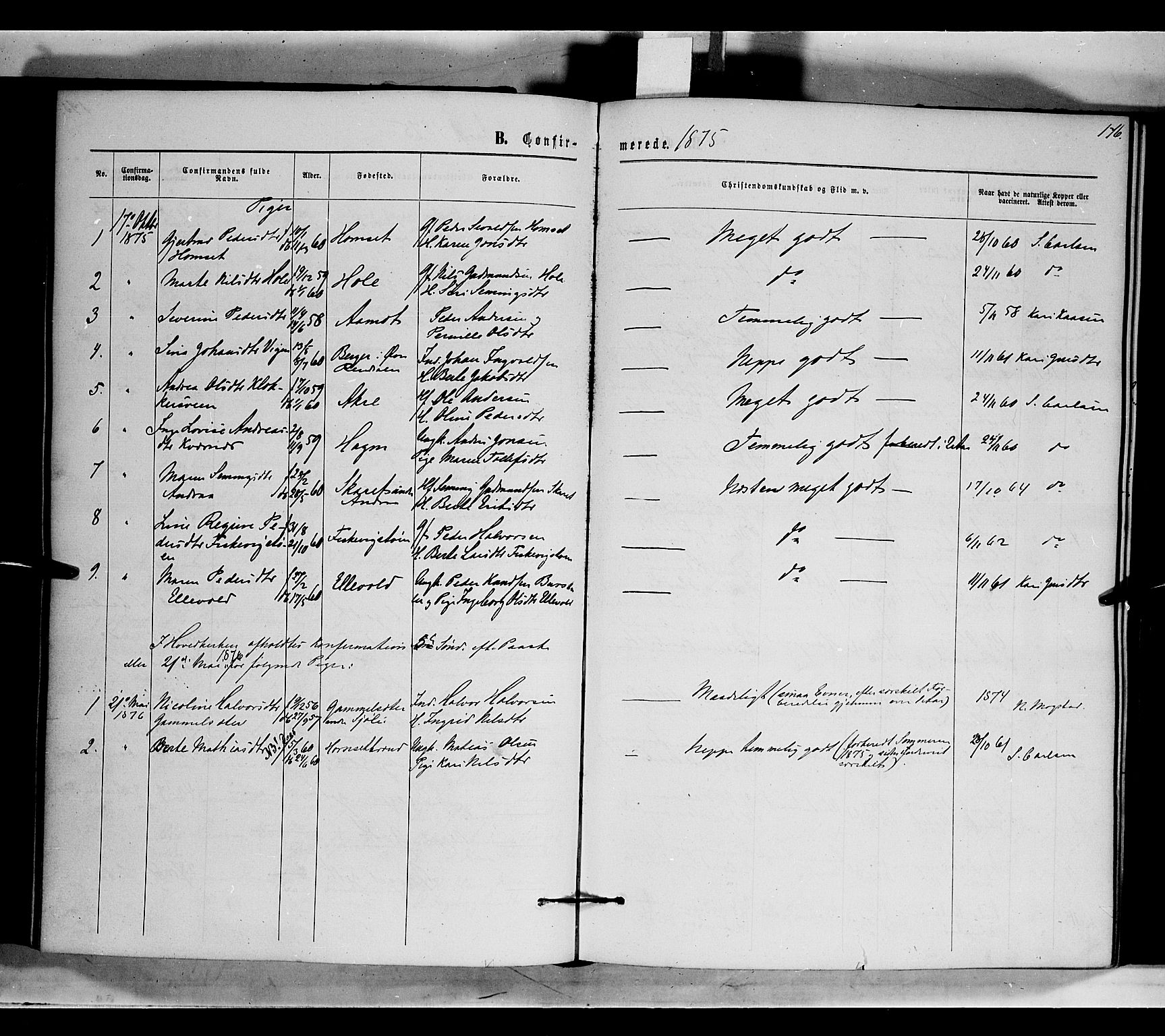 Rendalen prestekontor, SAH/PREST-054/H/Ha/Haa/L0006: Parish register (official) no. 6, 1867-1877, p. 176