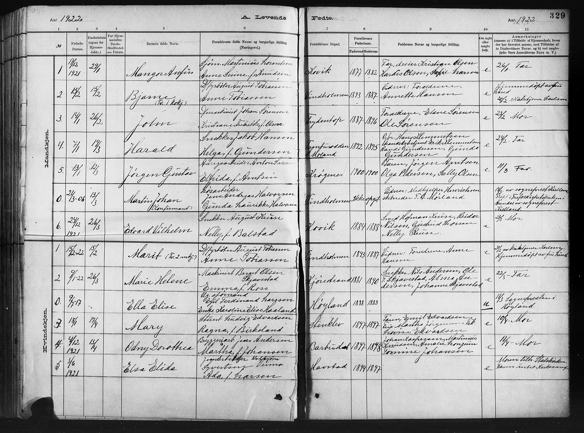 Barbu sokneprestkontor, AV/SAK-1111-0003/F/Fb/L0002: Parish register (copy) no. B 2, 1890-1922, p. 329