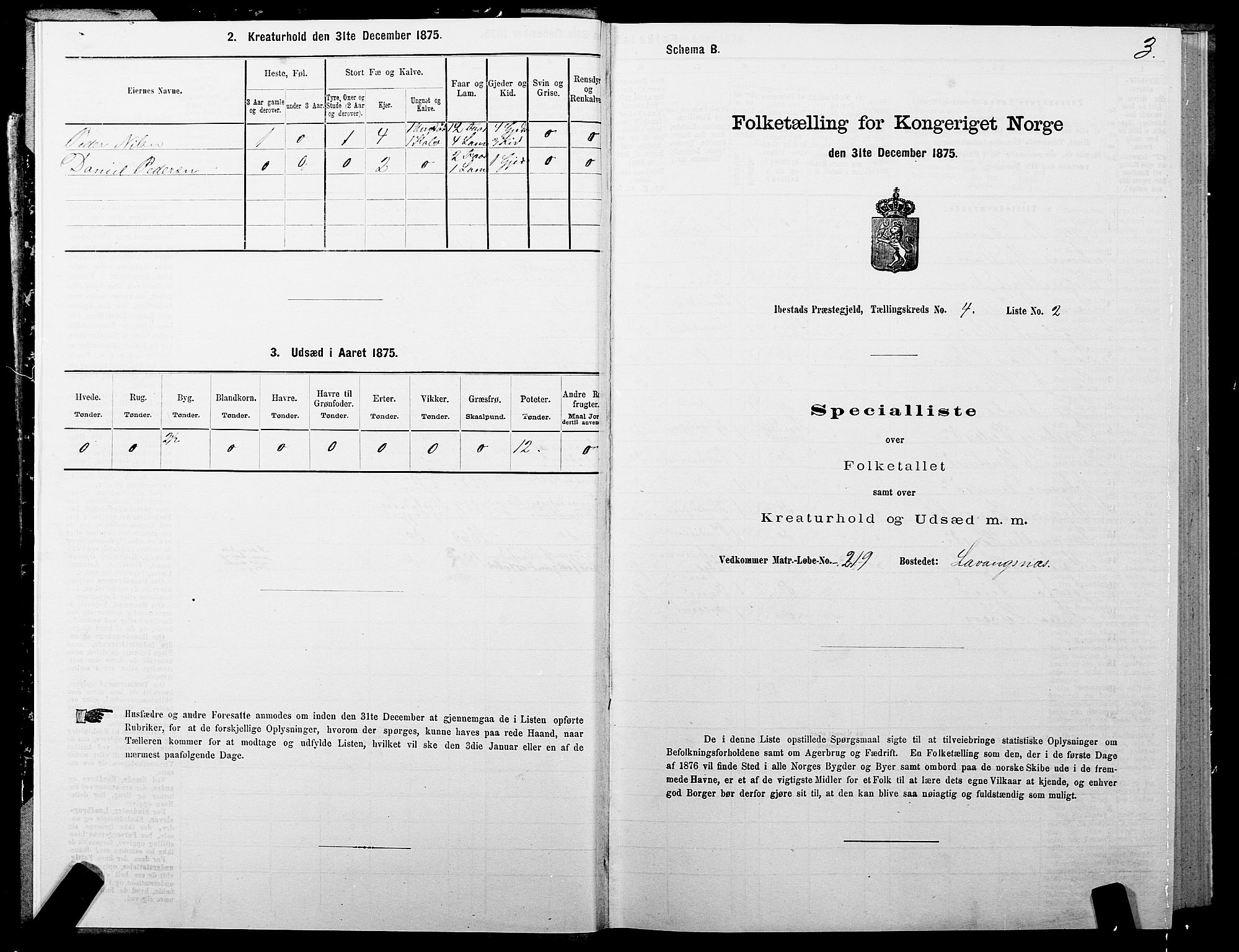 SATØ, 1875 census for 1917P Ibestad, 1875, p. 3003