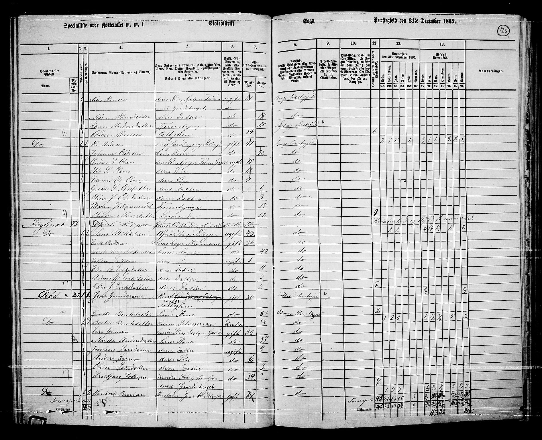 RA, 1865 census for Borge, 1865, p. 114